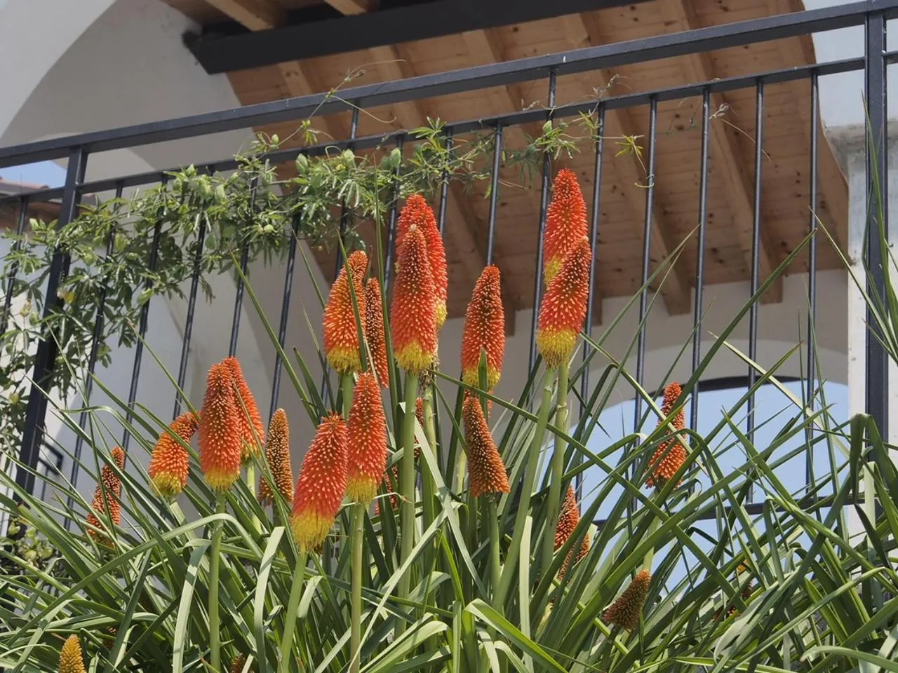 Balcony/Terrace in Valle B&B