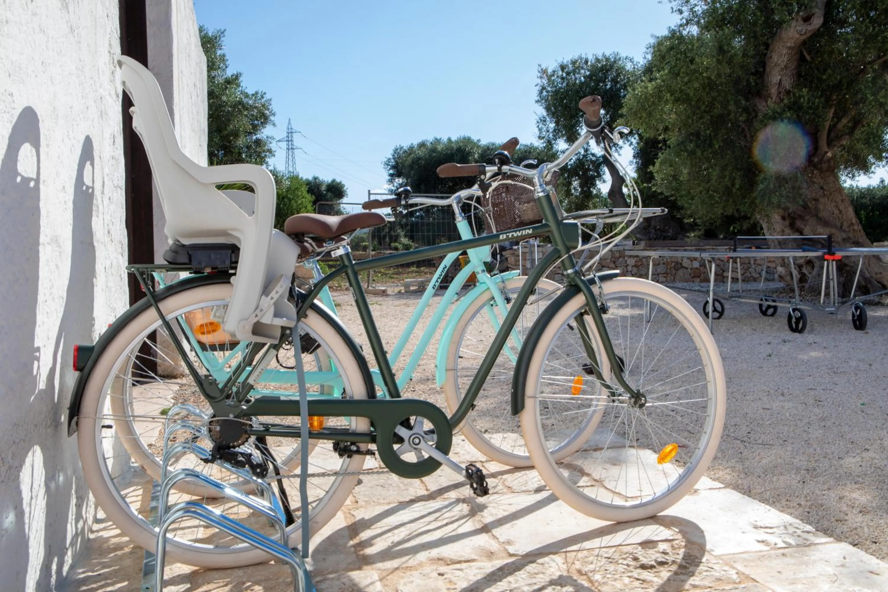 Activities in Guardian's House