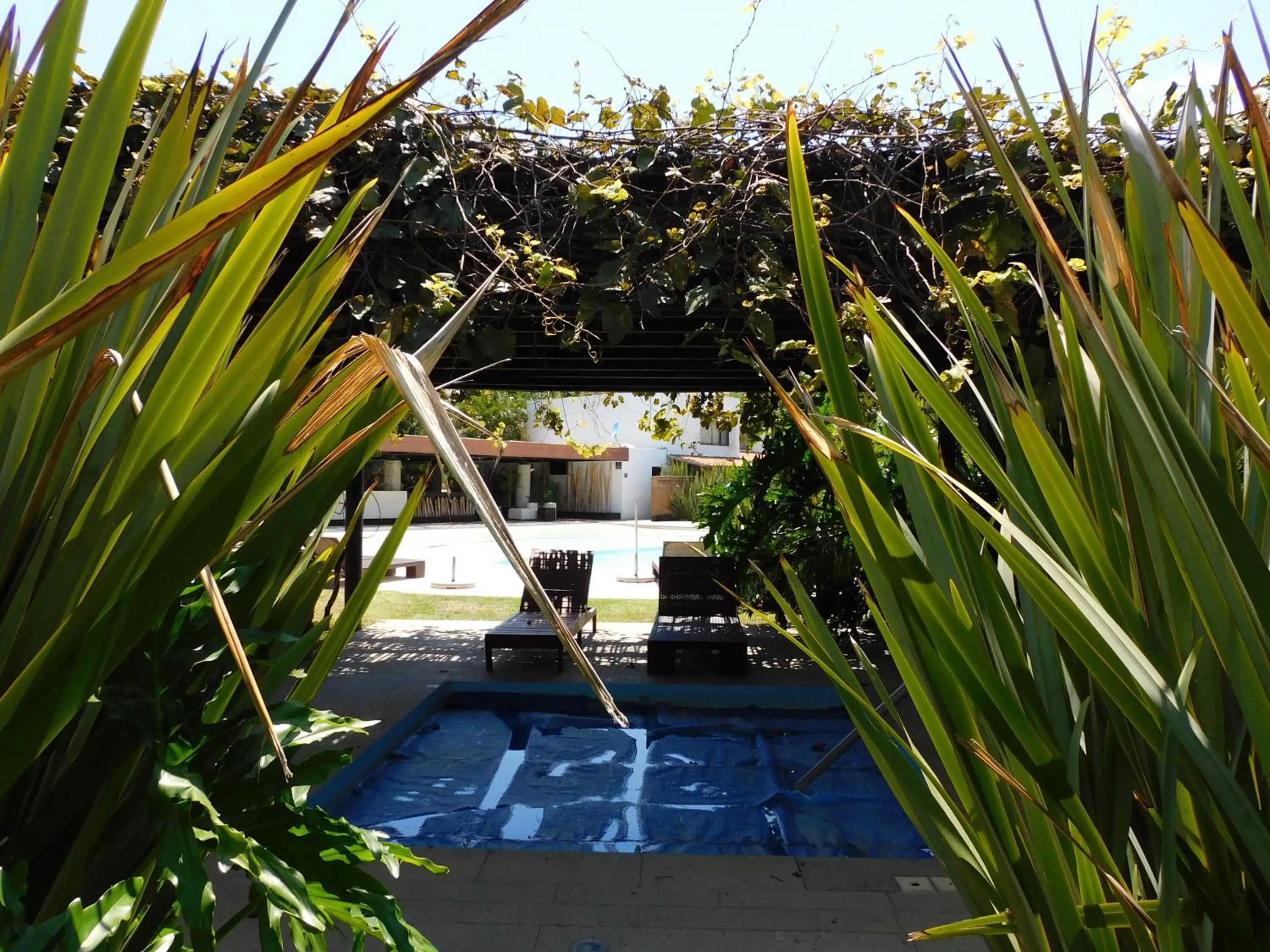 Area and facilities in Hotel & Spa Luna Canela Boutique