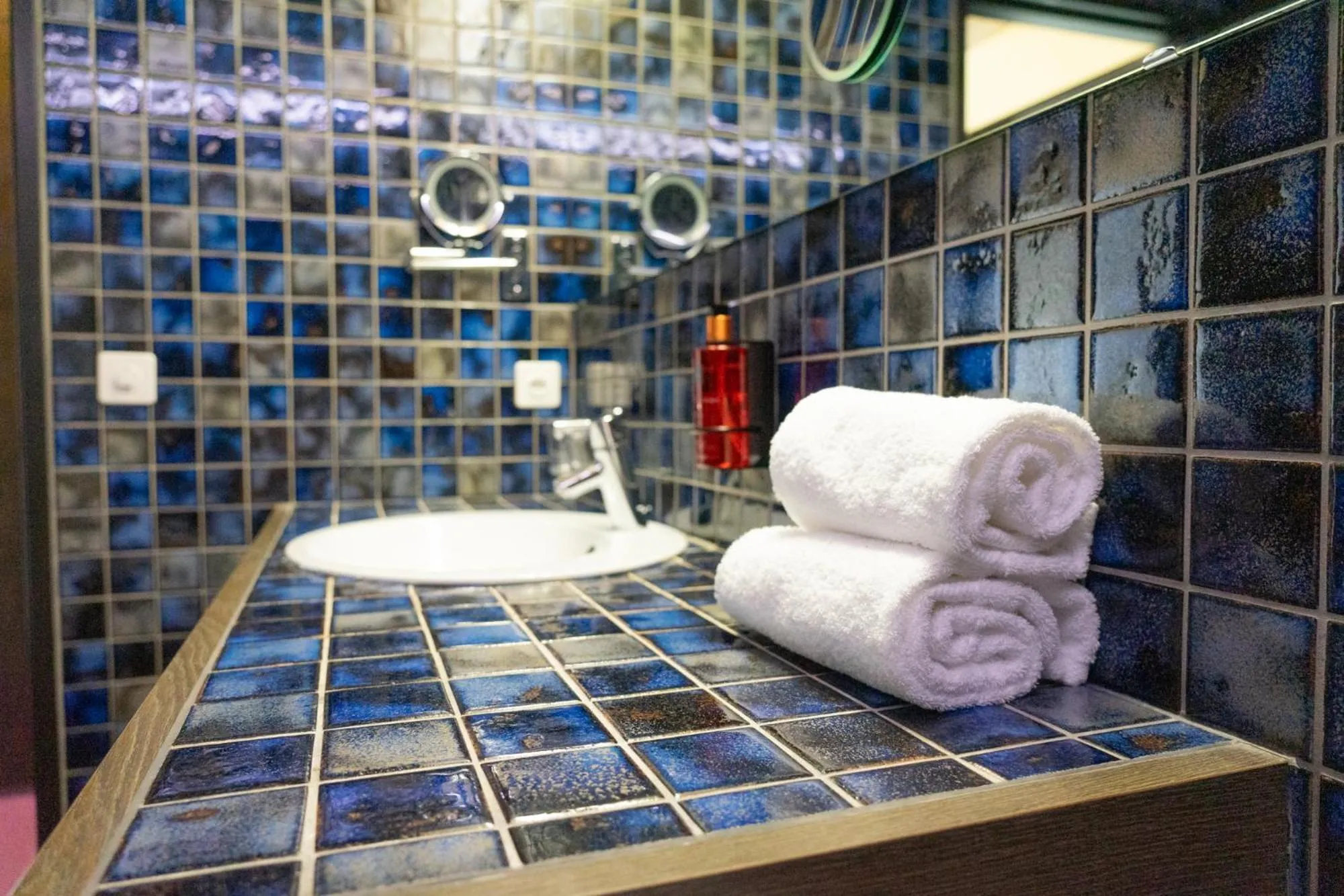 Toilet in Hotel Säntis Lodge