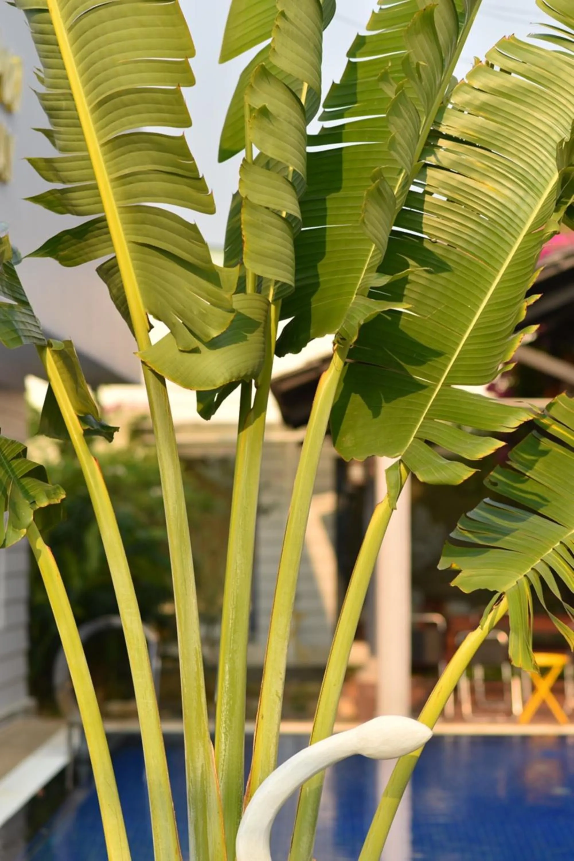 Garden in Window Homestay