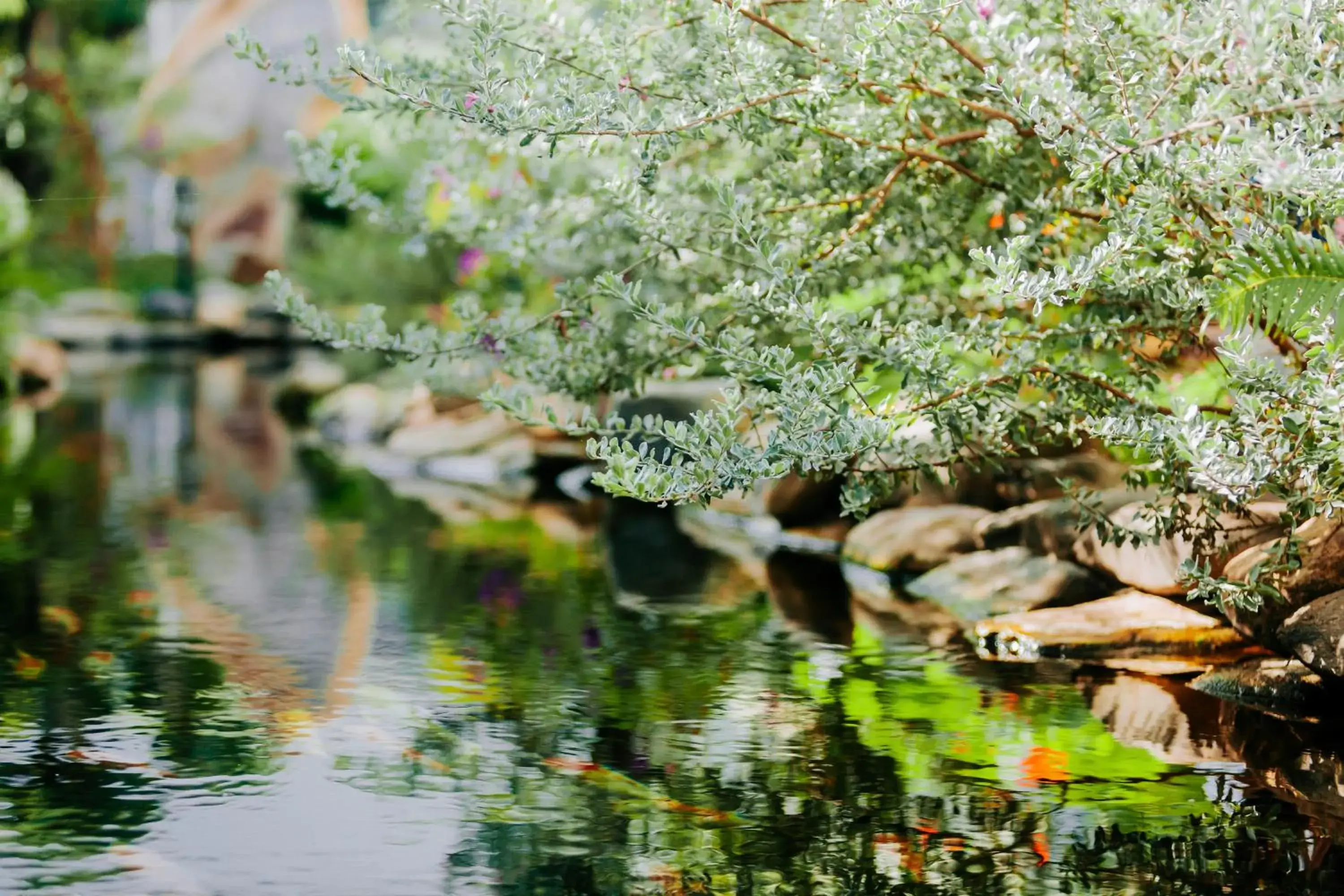 Lake view in Window Homestay Lake view in Window Homestay