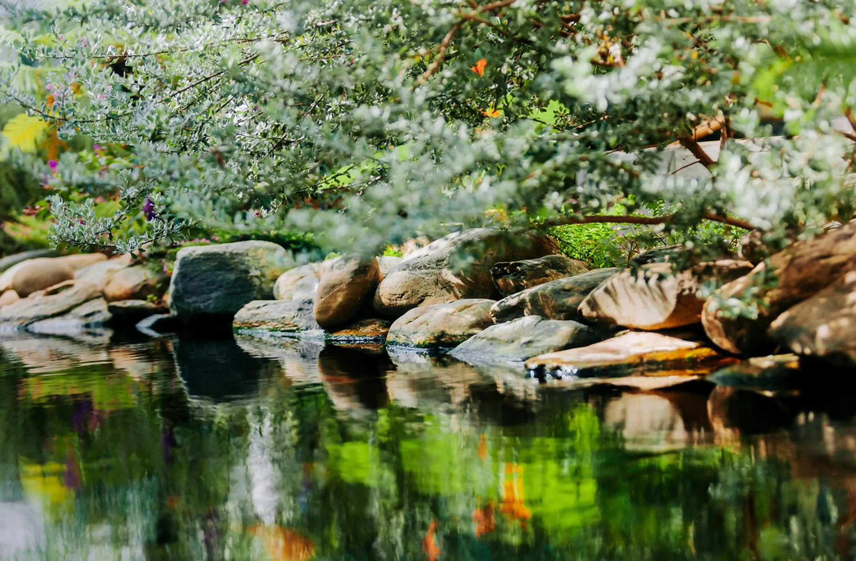 Lake view in Window Homestay