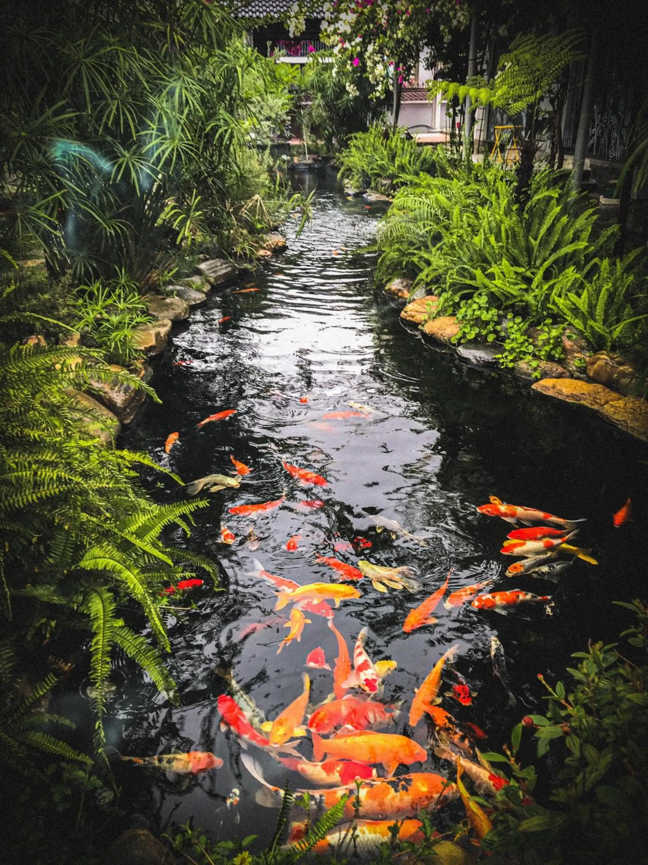 Natural landscape in Window Homestay