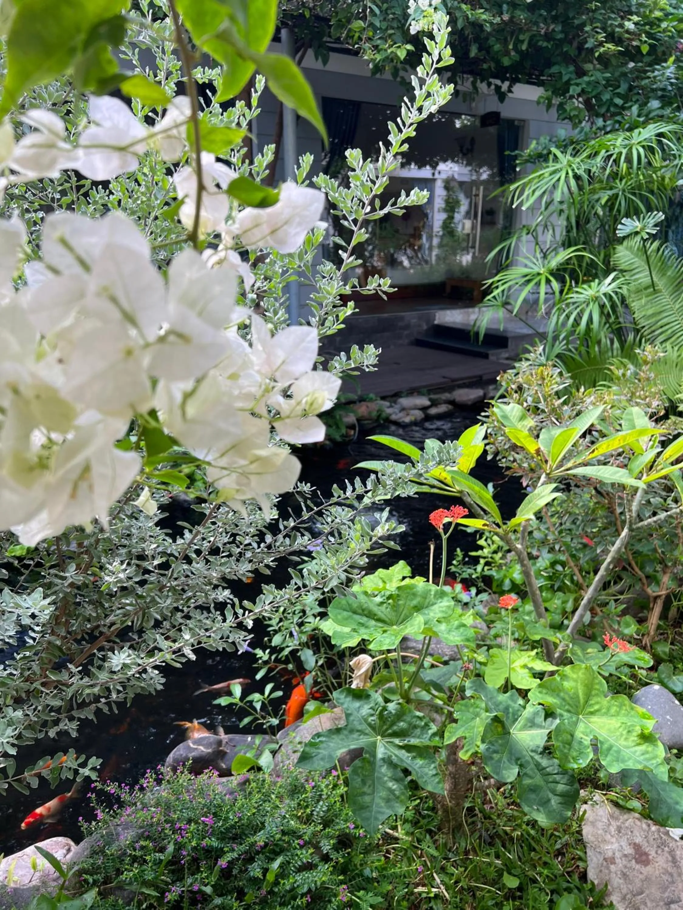 Garden in Window Homestay