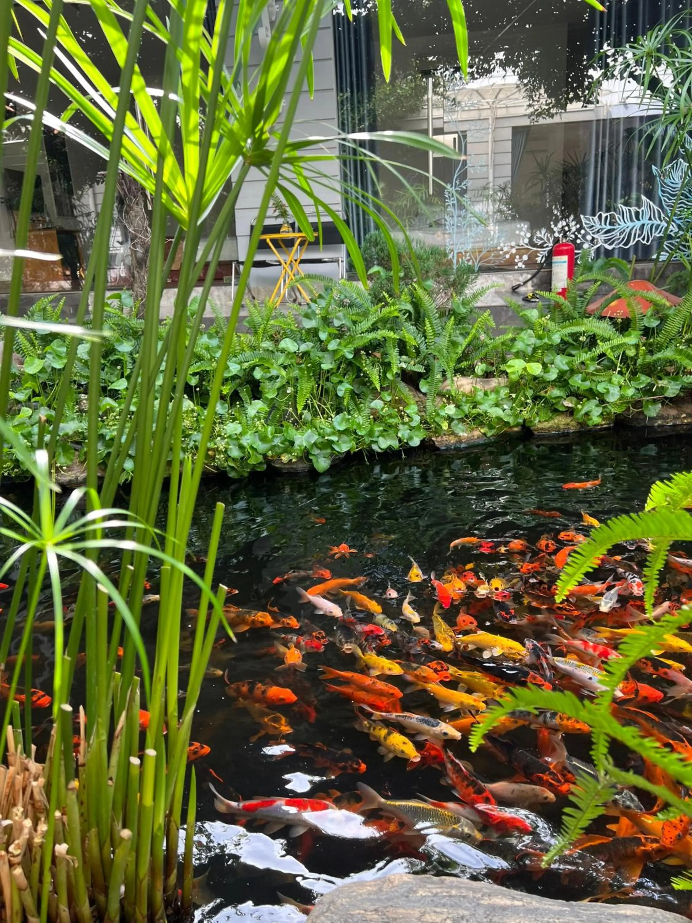 Garden in Window Homestay
