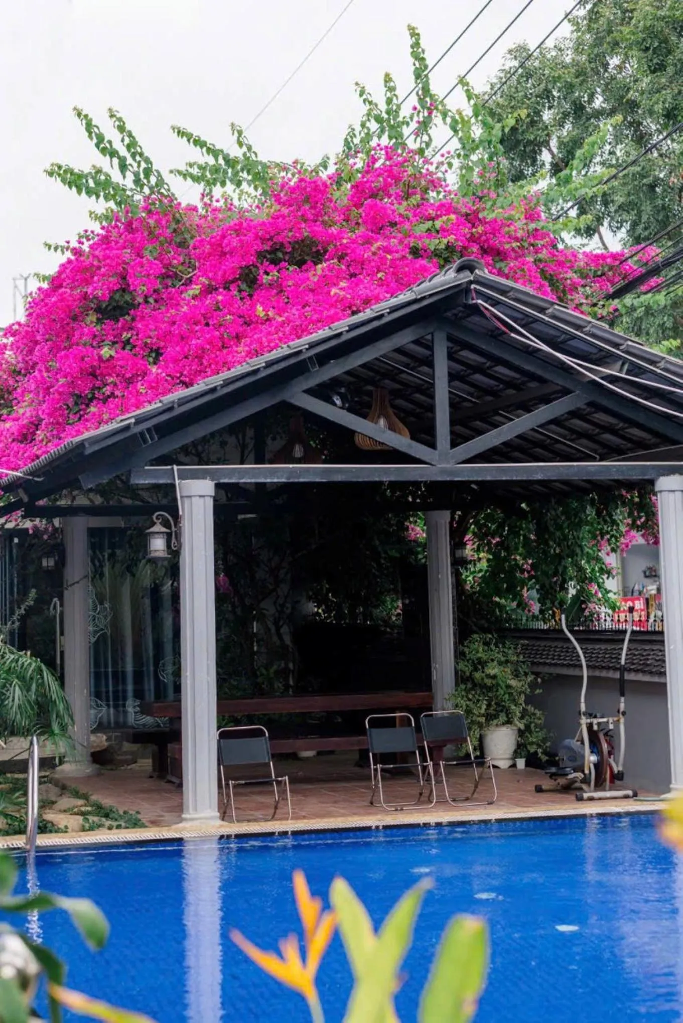 Garden view in Window Homestay