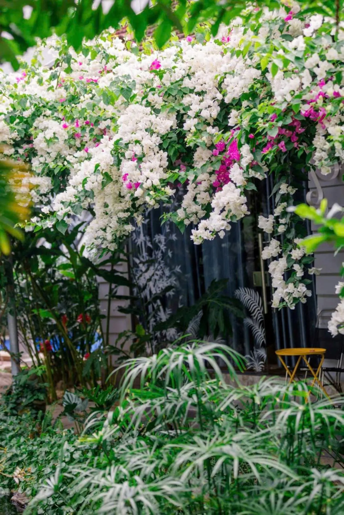 Garden in Window Homestay