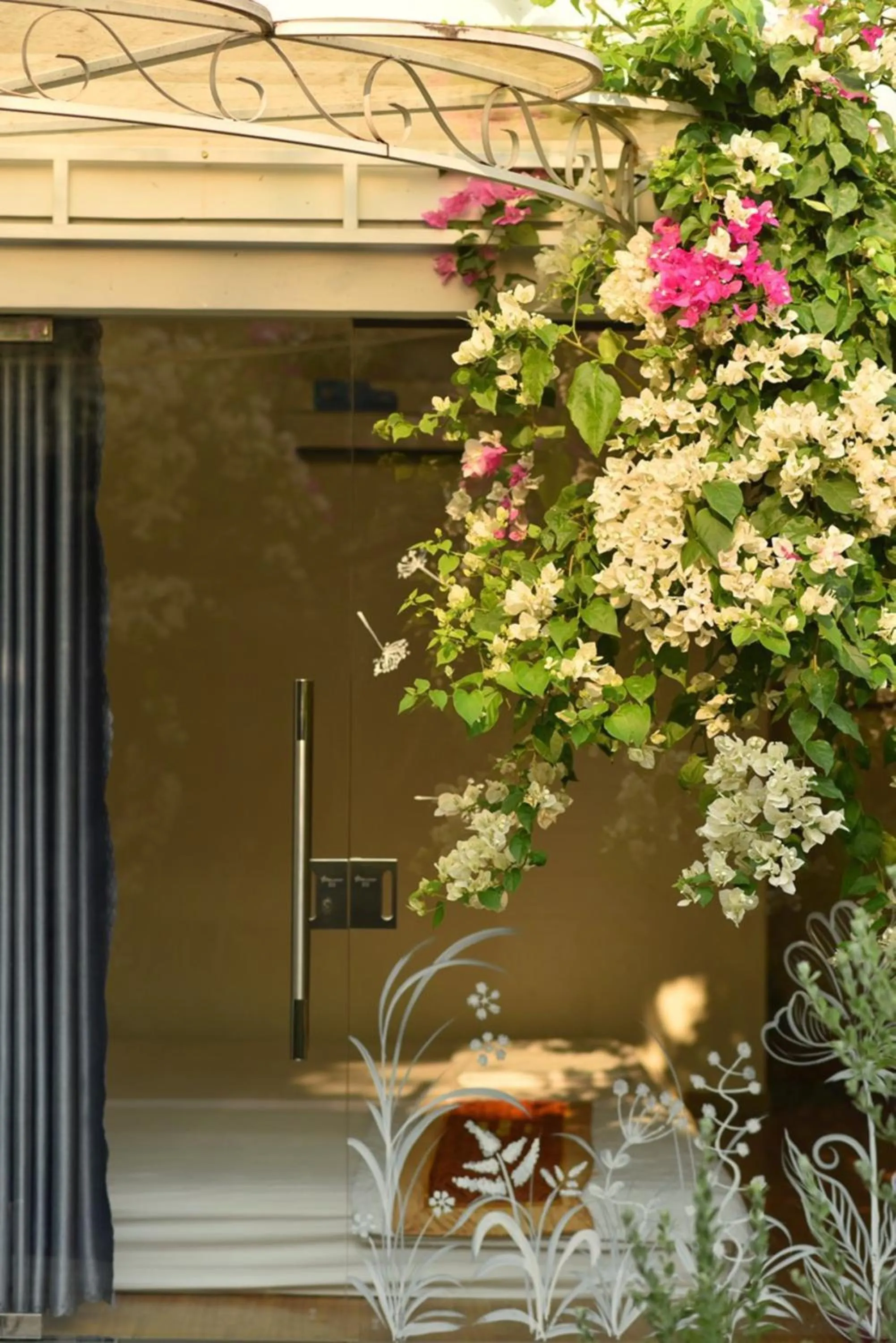 Day in Window Homestay