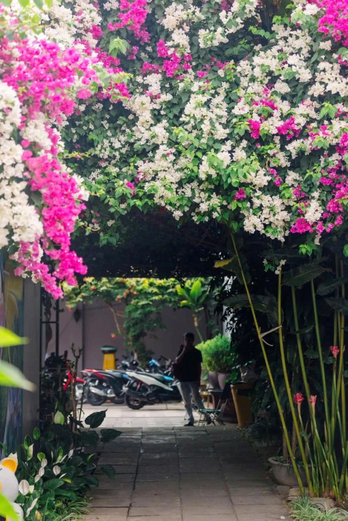 Garden view in Window Homestay