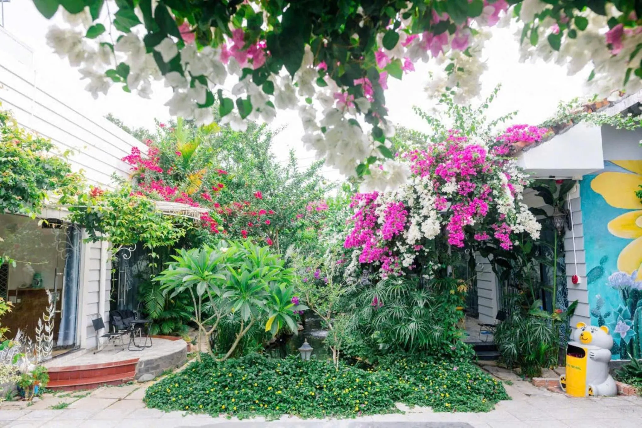 Property building in Window Homestay