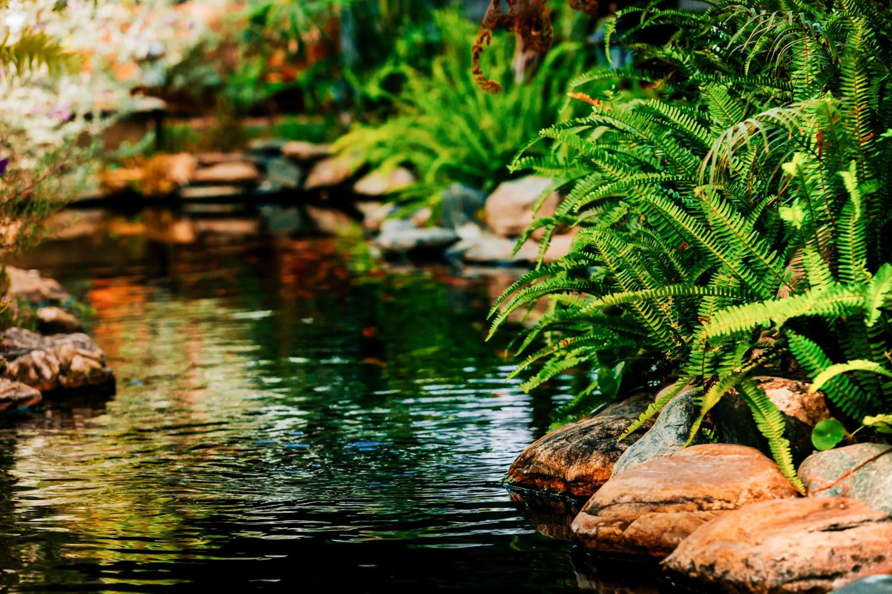 Lake view in Window Homestay