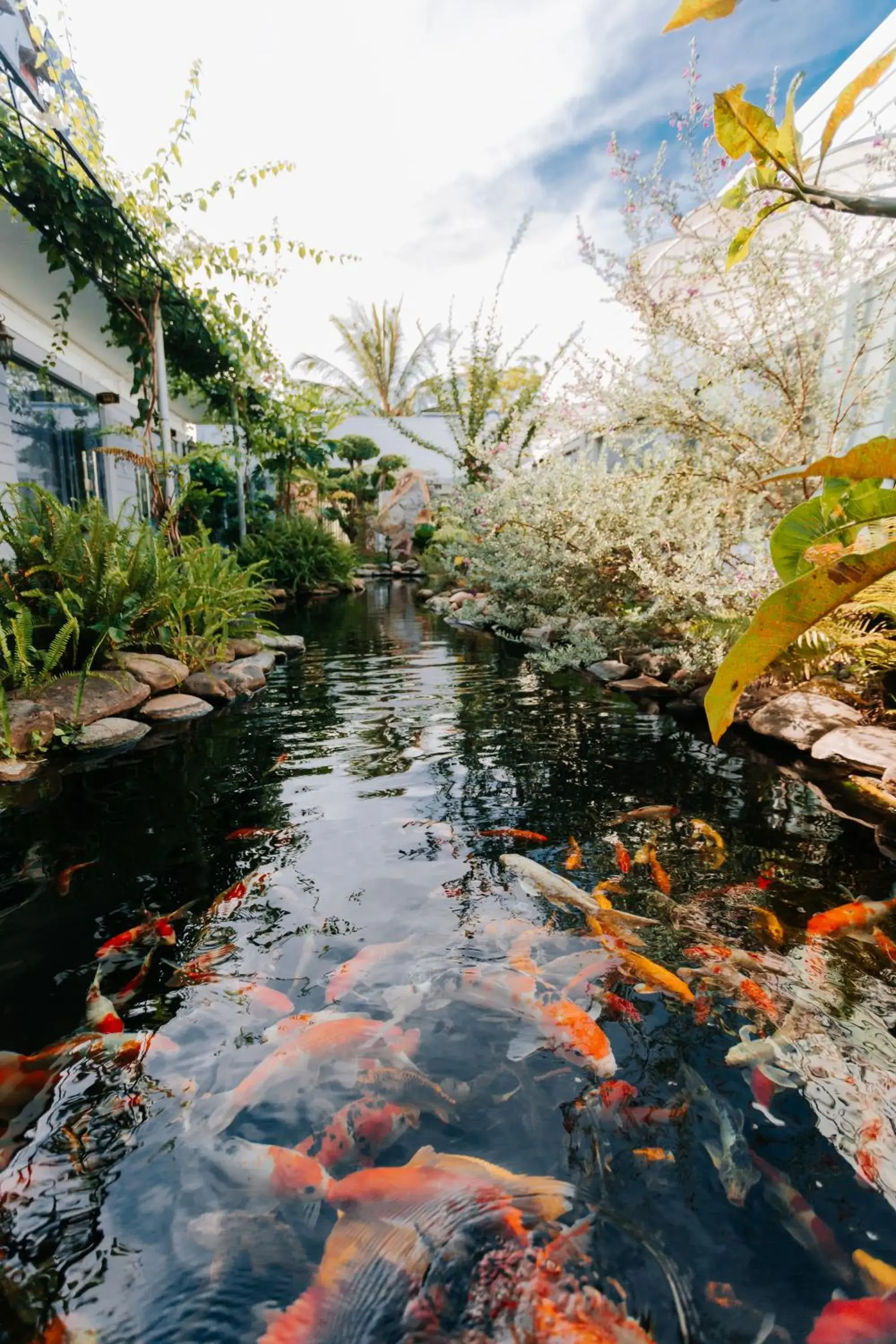 Lake view in Window Homestay Lake view in Window Homestay