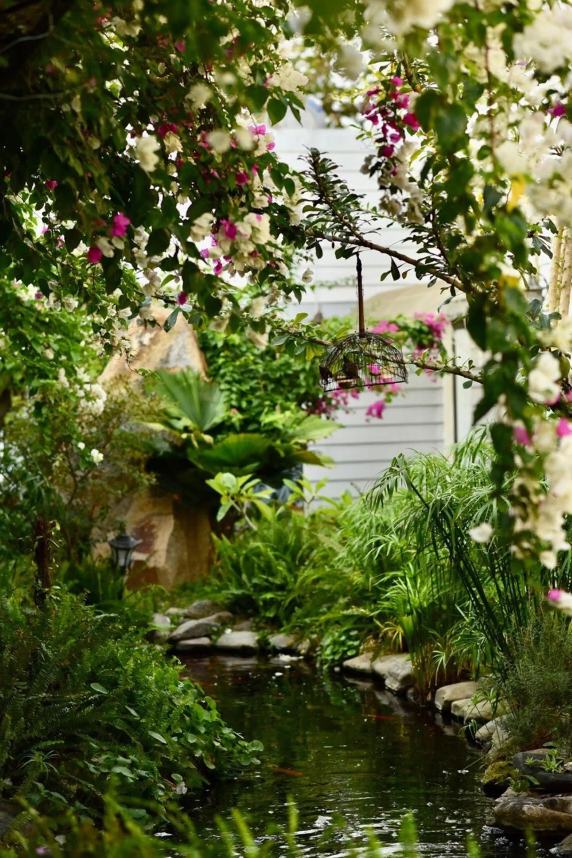 Garden in Window Homestay