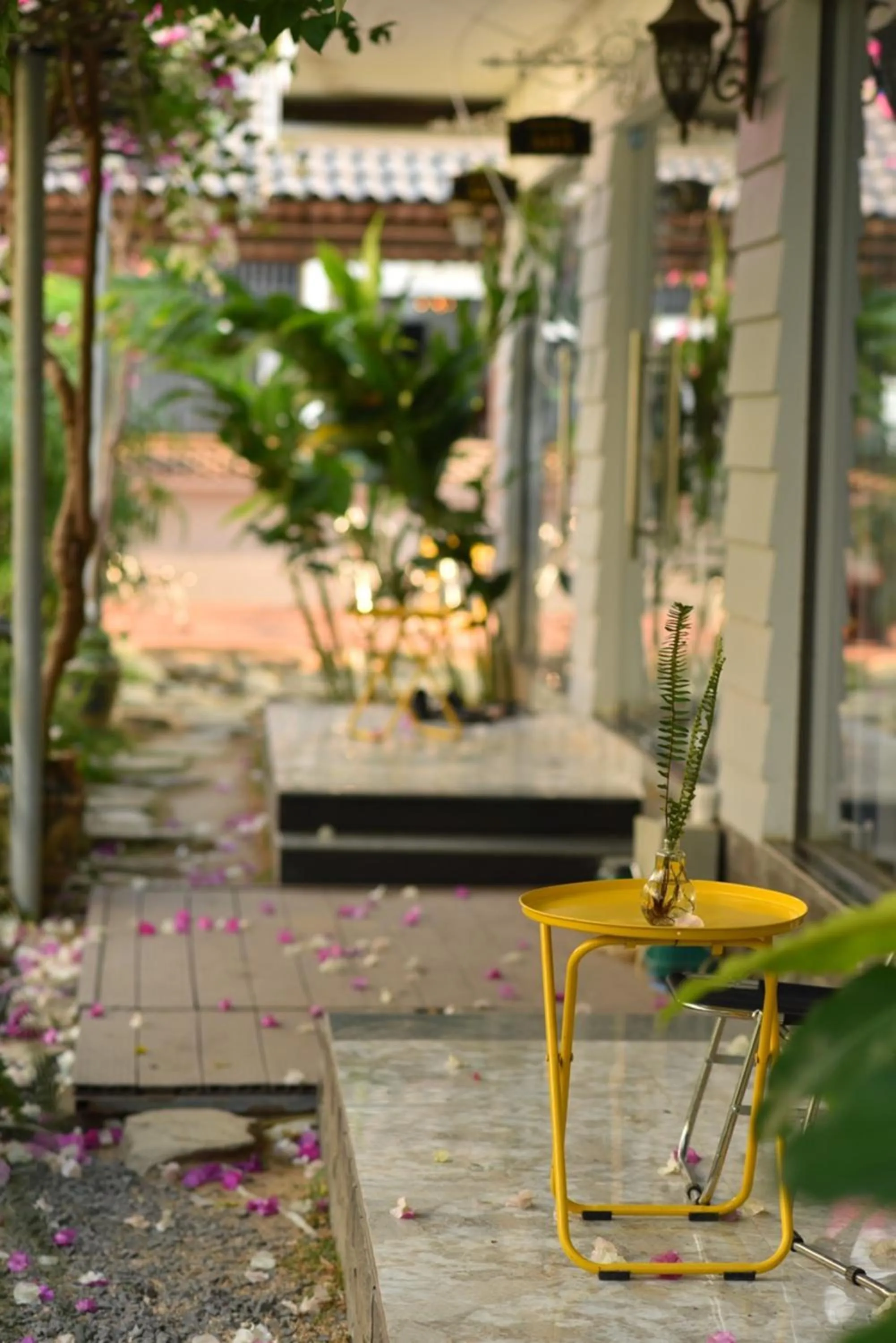 Garden in Window Homestay