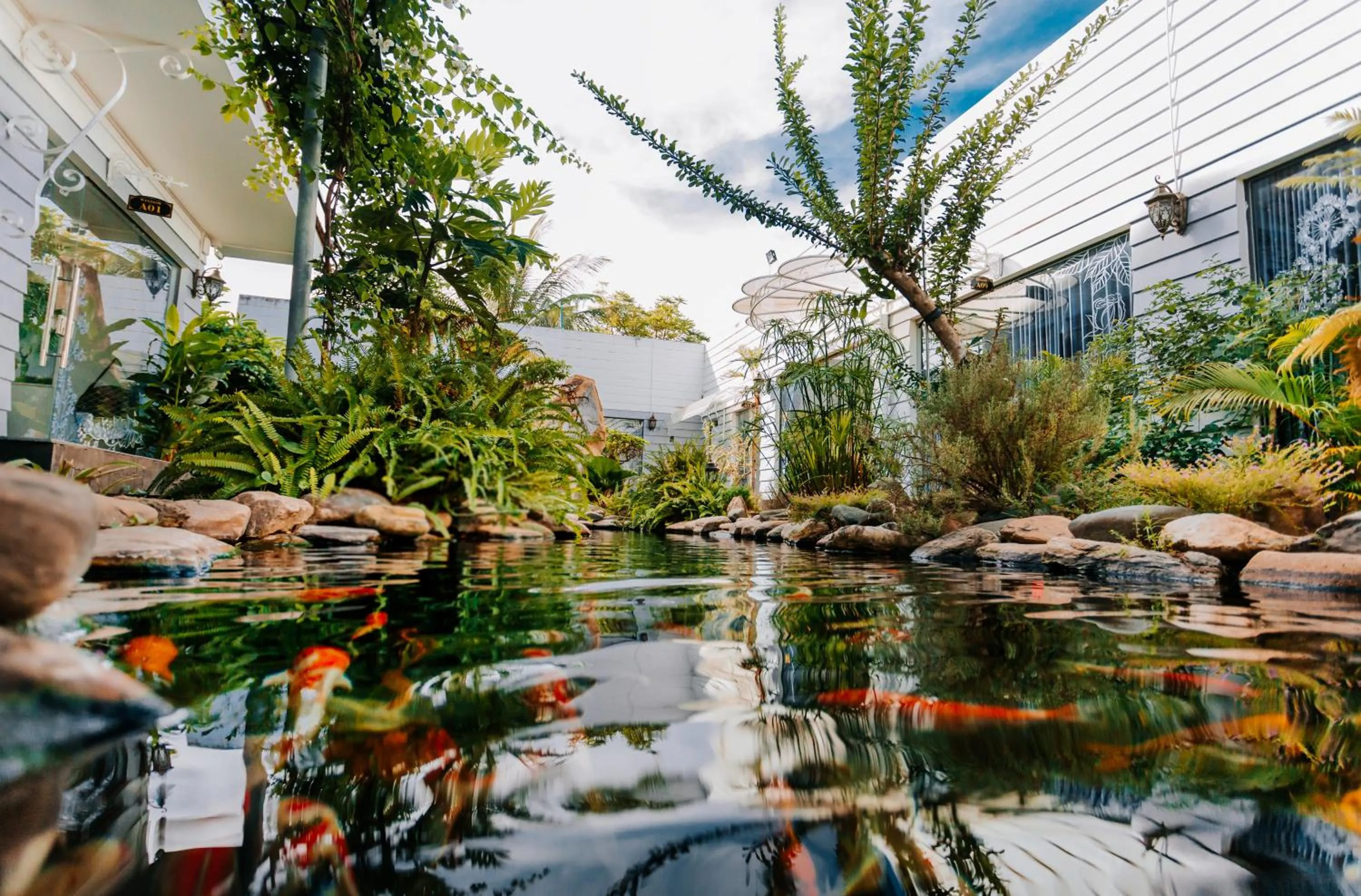 Lake view in Window Homestay