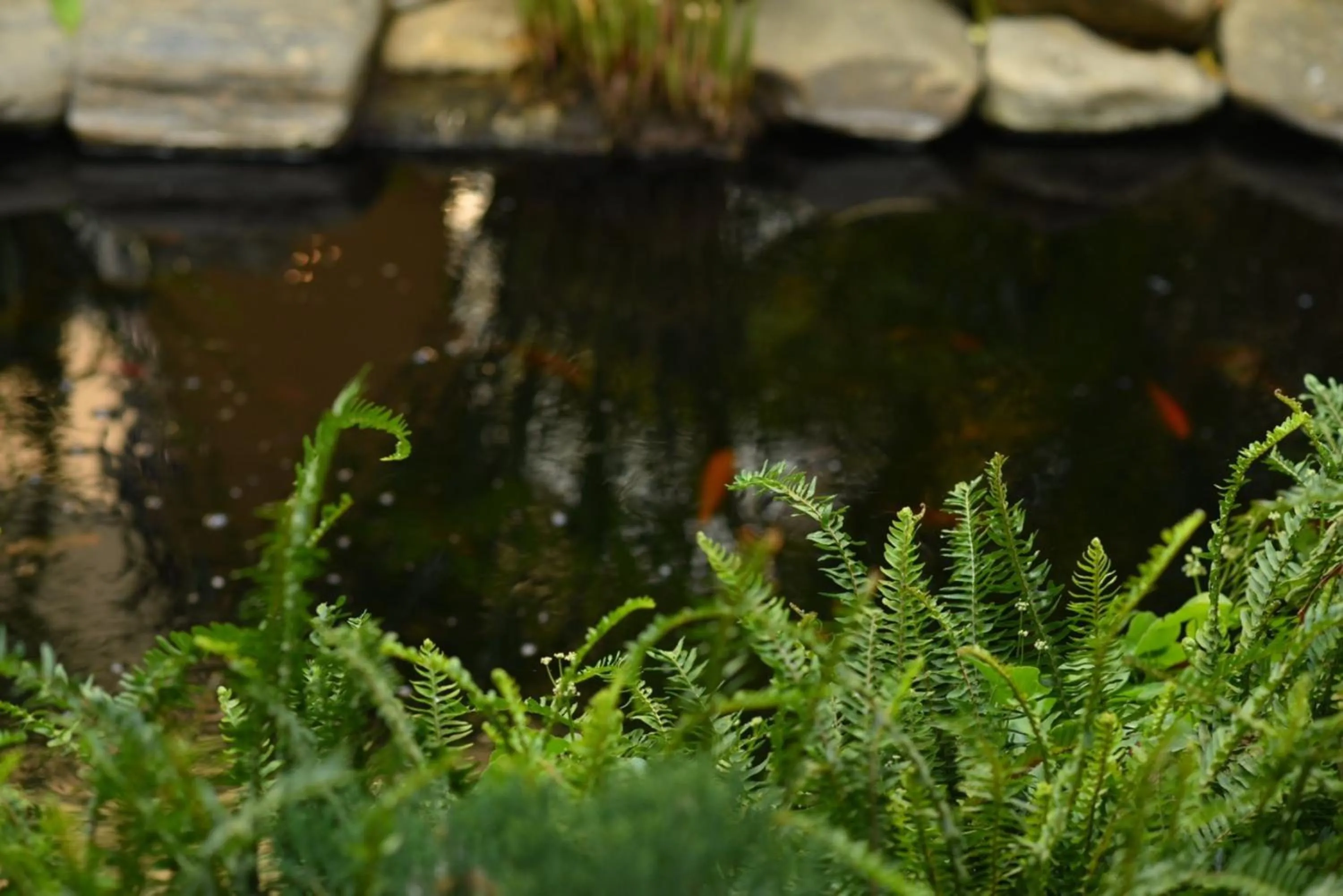 Natural landscape in Window Homestay