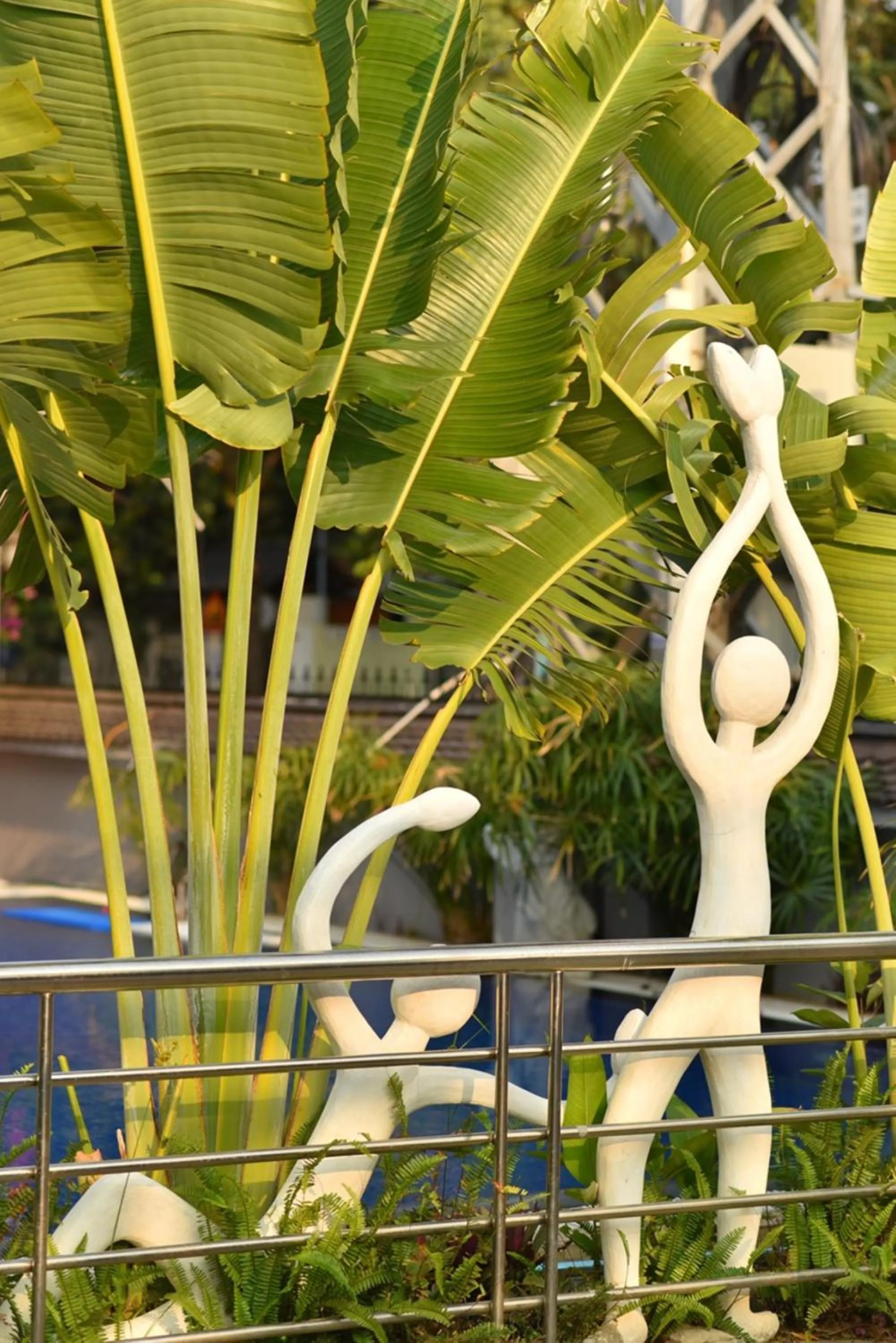 Garden view in Window Homestay