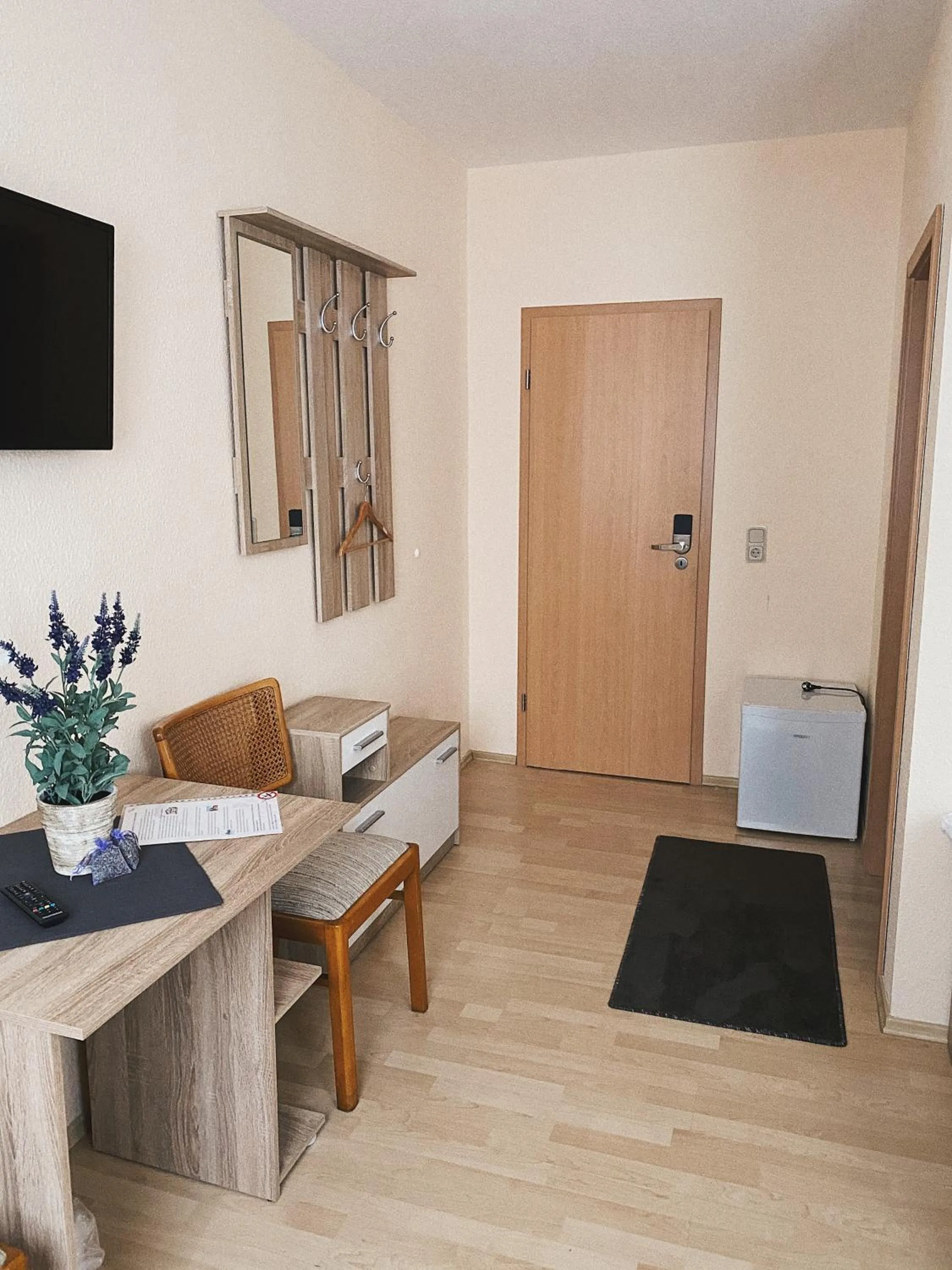 TV and multimedia in Pension Lavendel