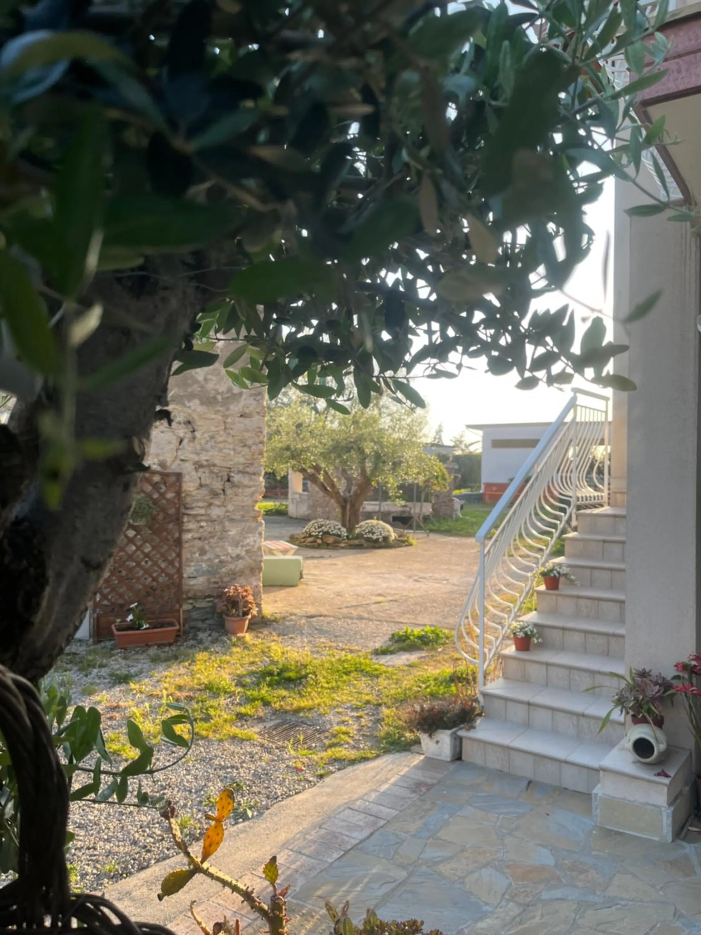 Garden in Dimora Iannelli - B&B Rurale Paestum