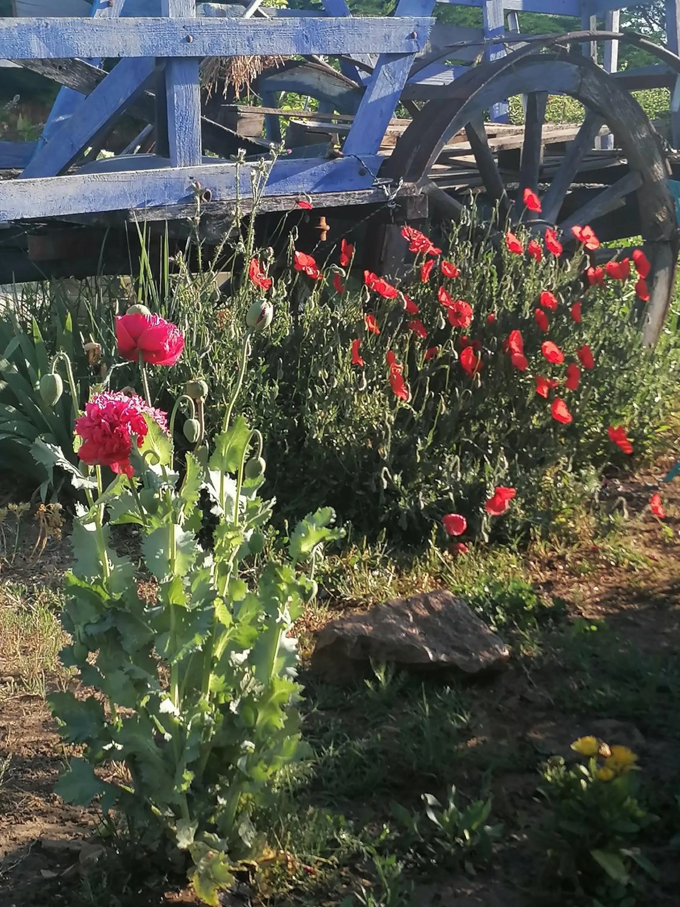 Garden in la fée viviane et michel l'enchanteur
