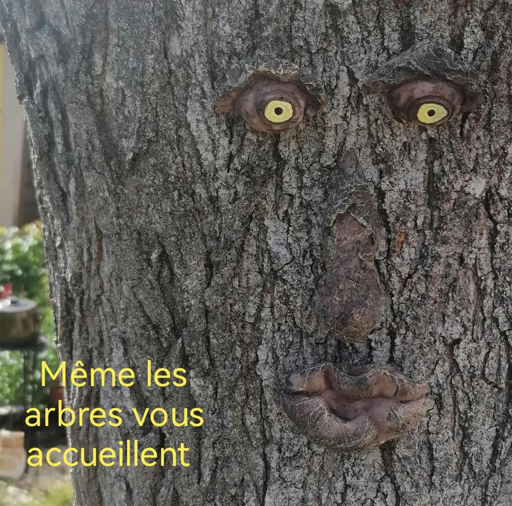 Natural landscape in la fée viviane et michel l'enchanteur
