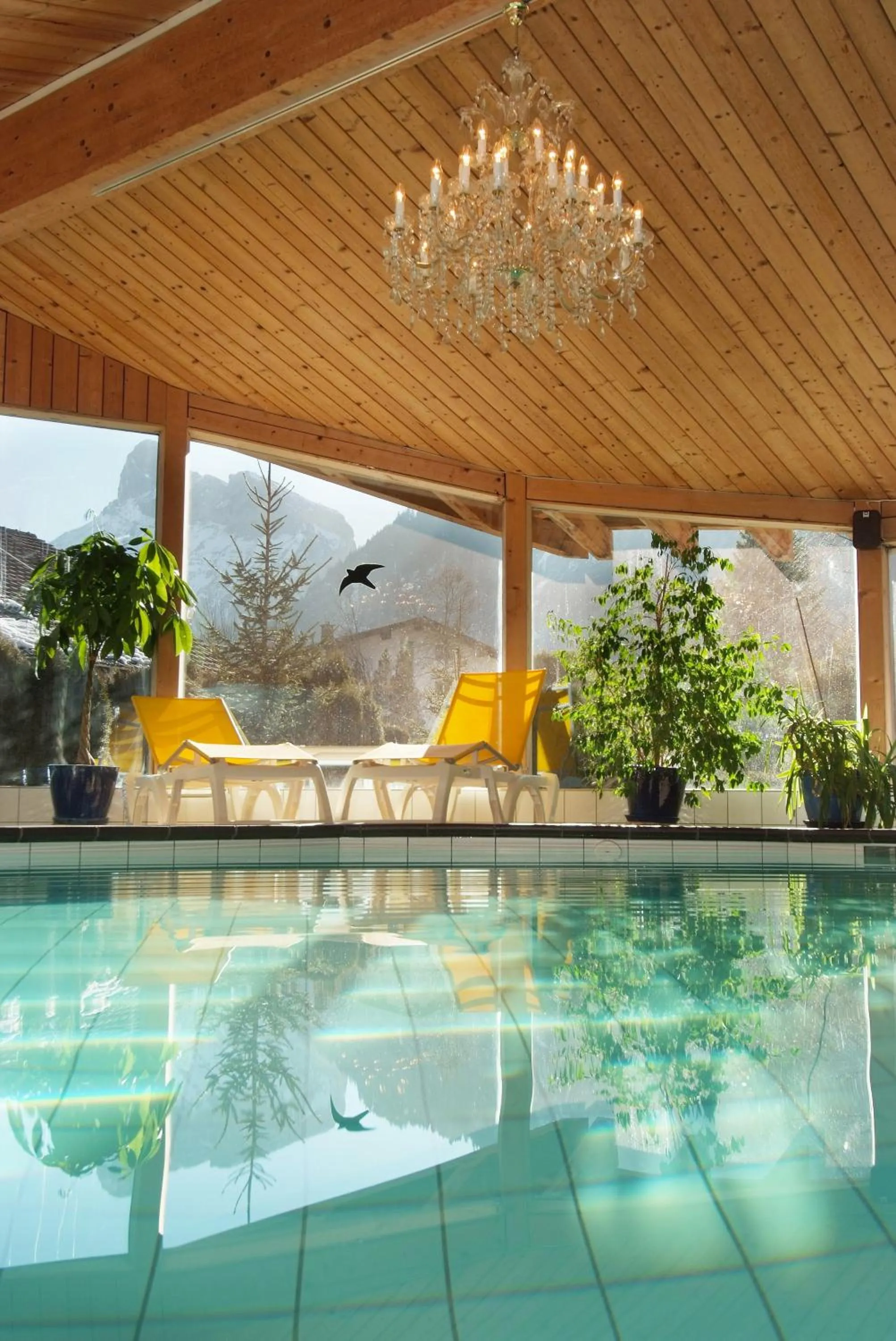 Swimming pool in Chalet Hotel Adler