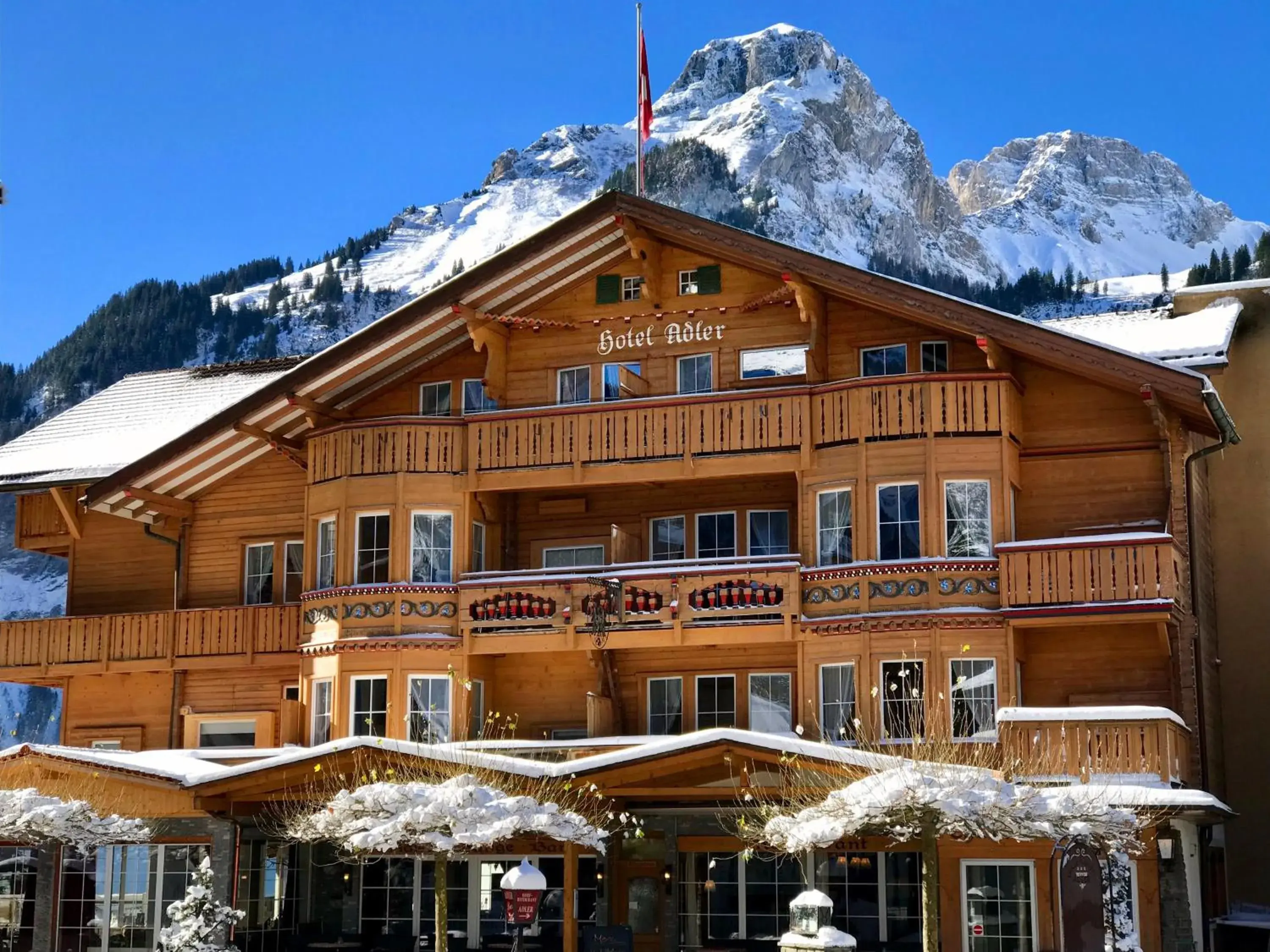 Chalet Hotel Adler Chalet Hotel Adler