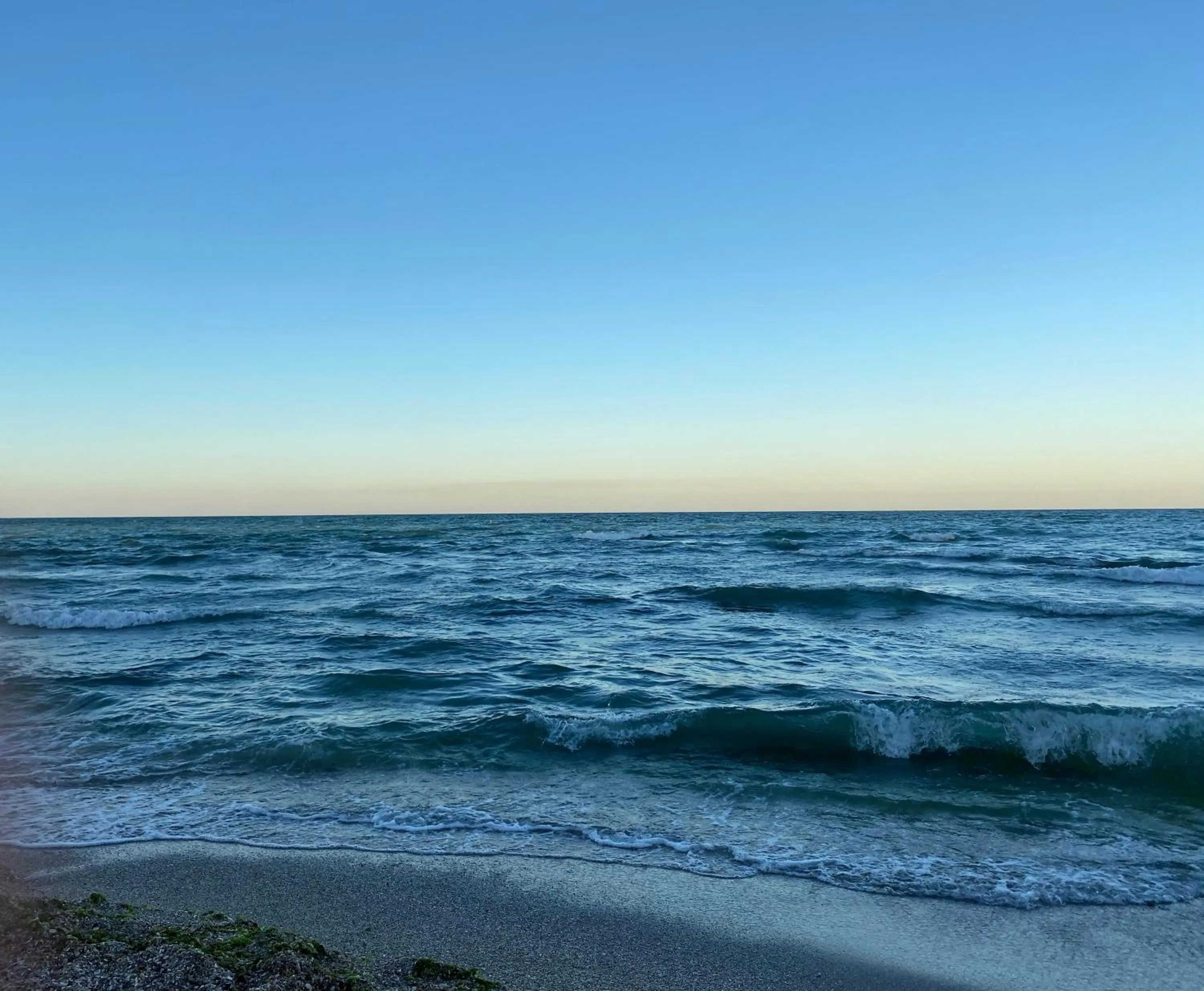 Natural landscape in Hotel Impact