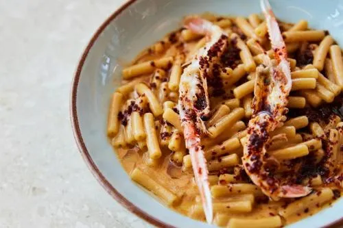 The Social Hub Bologna