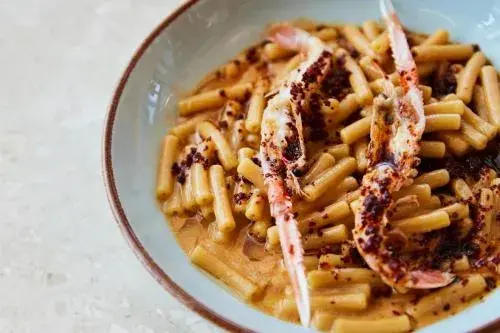 The Social Hub Bologna The Social Hub Bologna