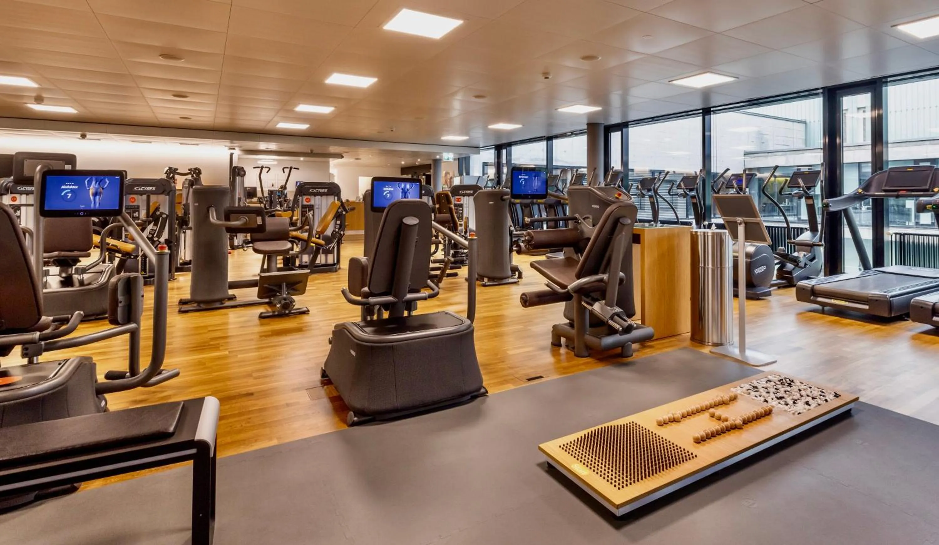Fitness centre/facilities in The Home Hotel Zürich - a member of DESIGN HOTELS