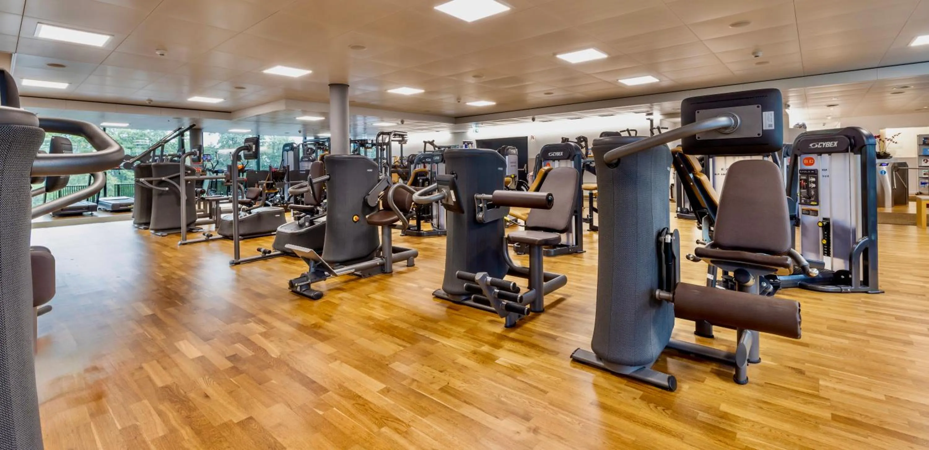 Fitness centre/facilities in The Home Hotel Zürich - a member of DESIGN HOTELS