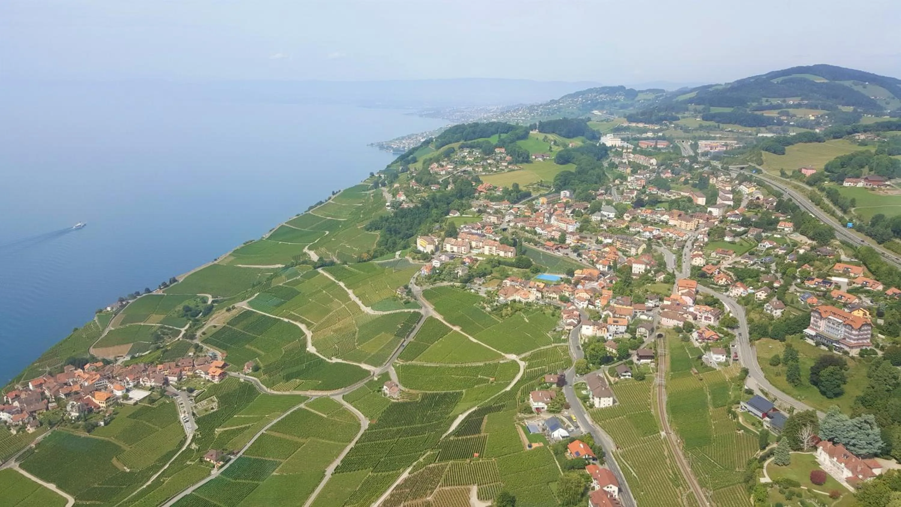 Area and facilities in Hôtel Prealpina