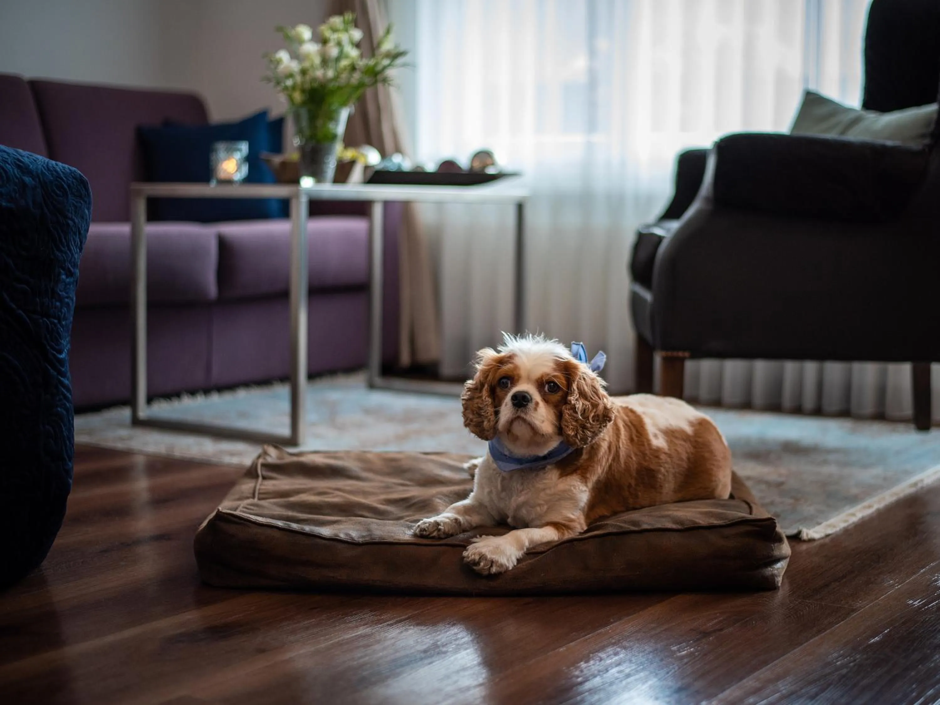 Decorative detail in Le Mirabeau Resort & Spa