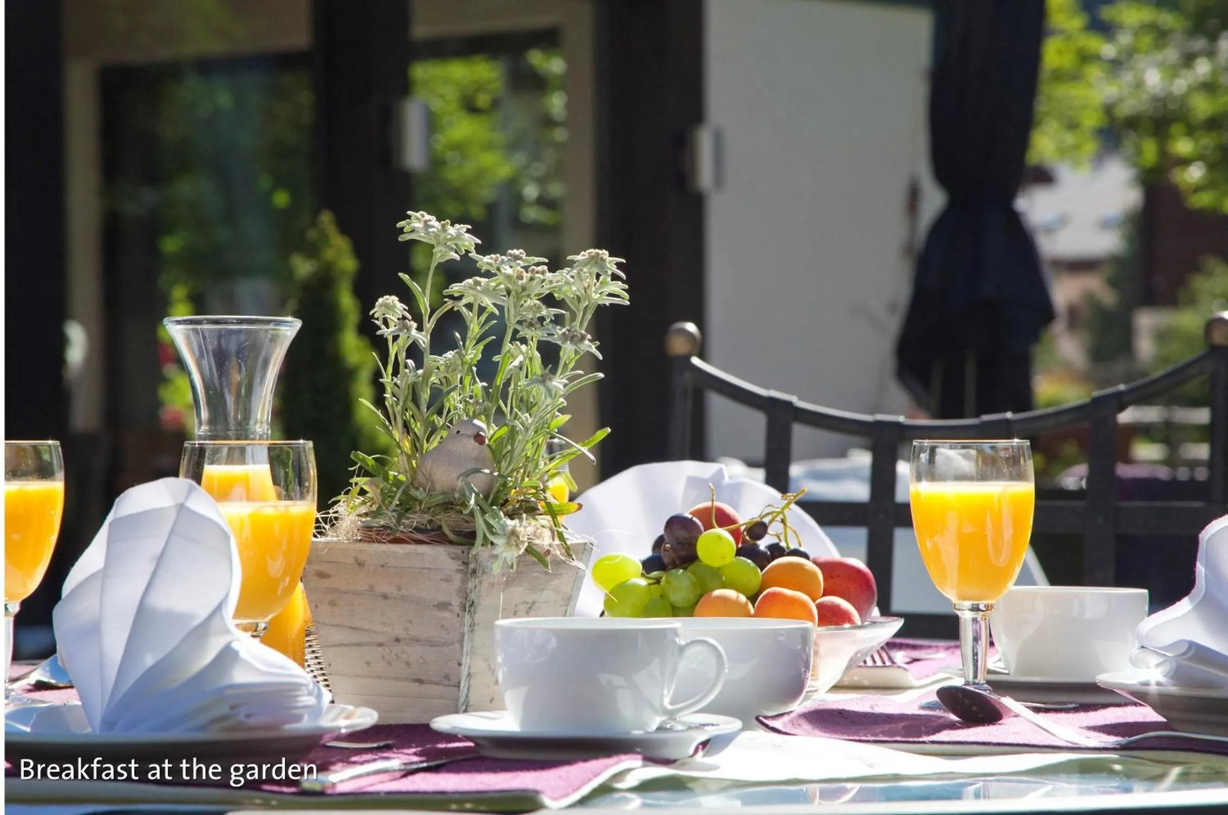 Restaurant/places to eat in Le Mirabeau Resort & Spa