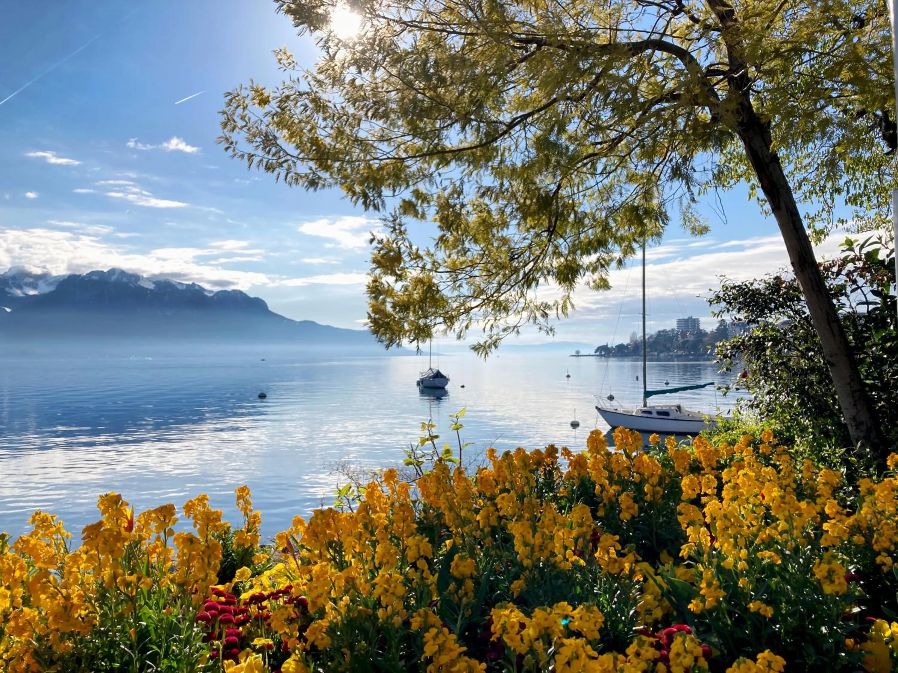 Lake view in Royal Plaza Montreux