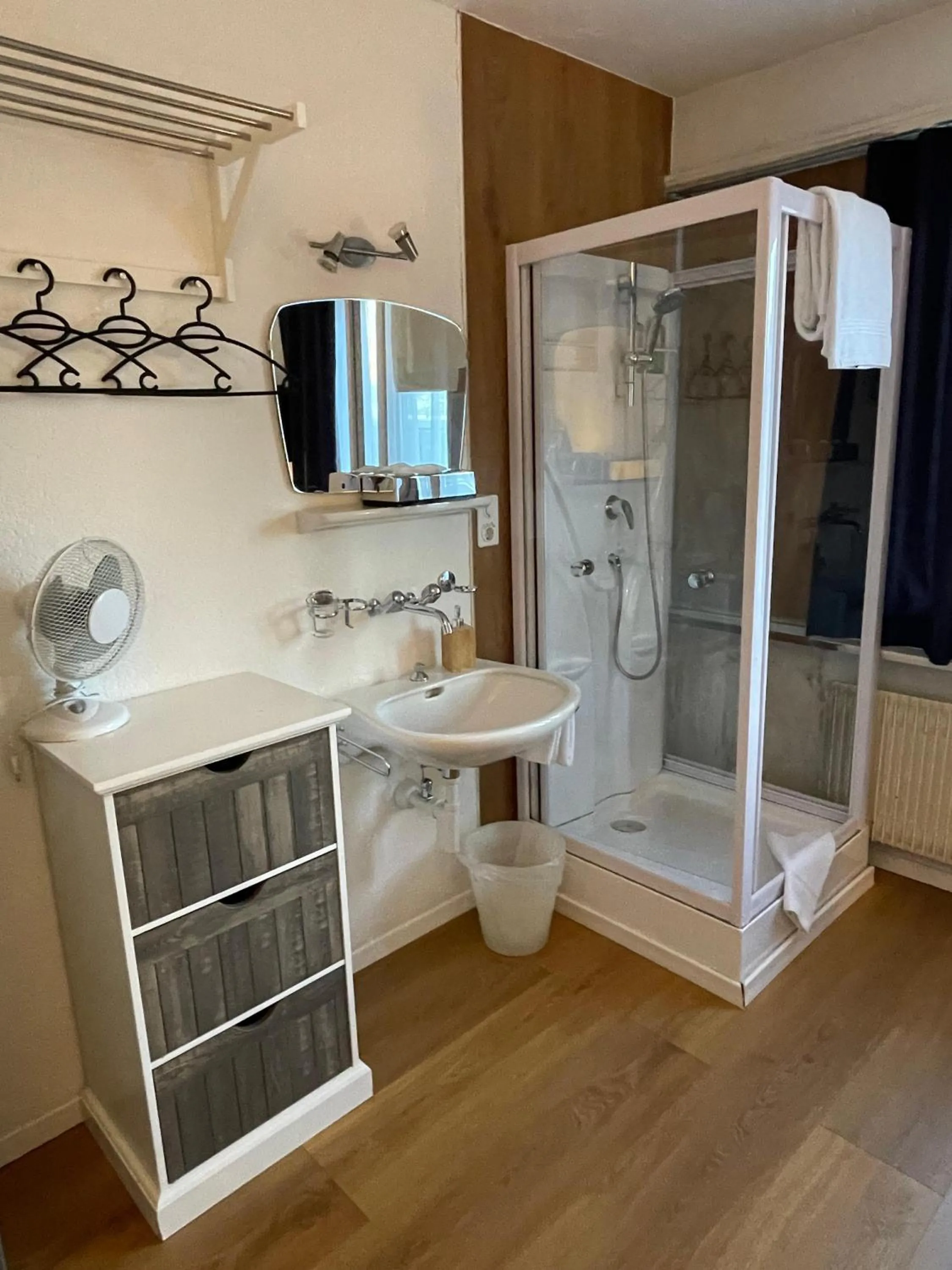 Shower in Hotel Europe Brig