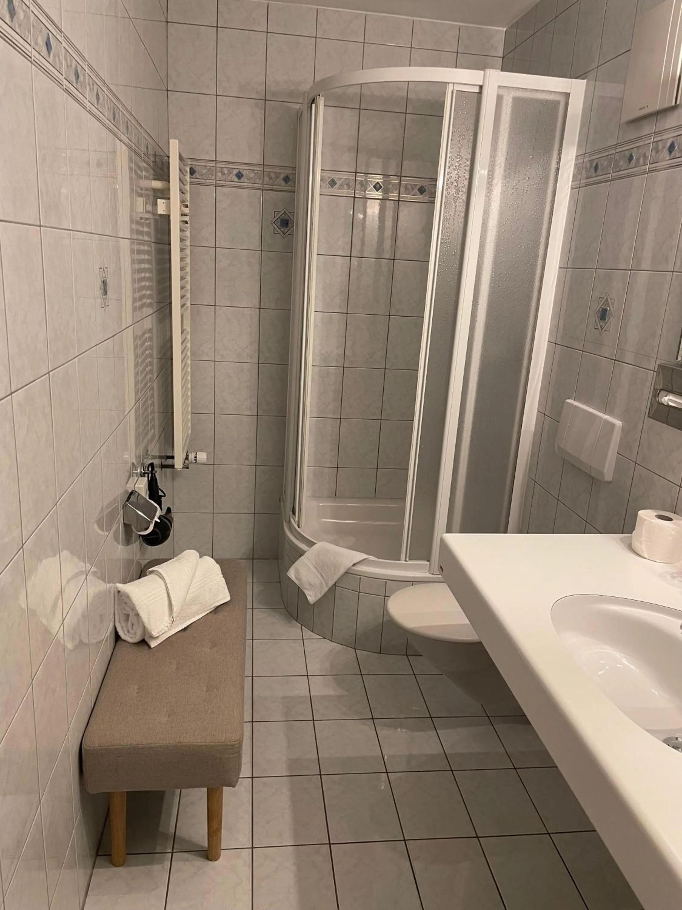 Shower in Hotel Europe Brig