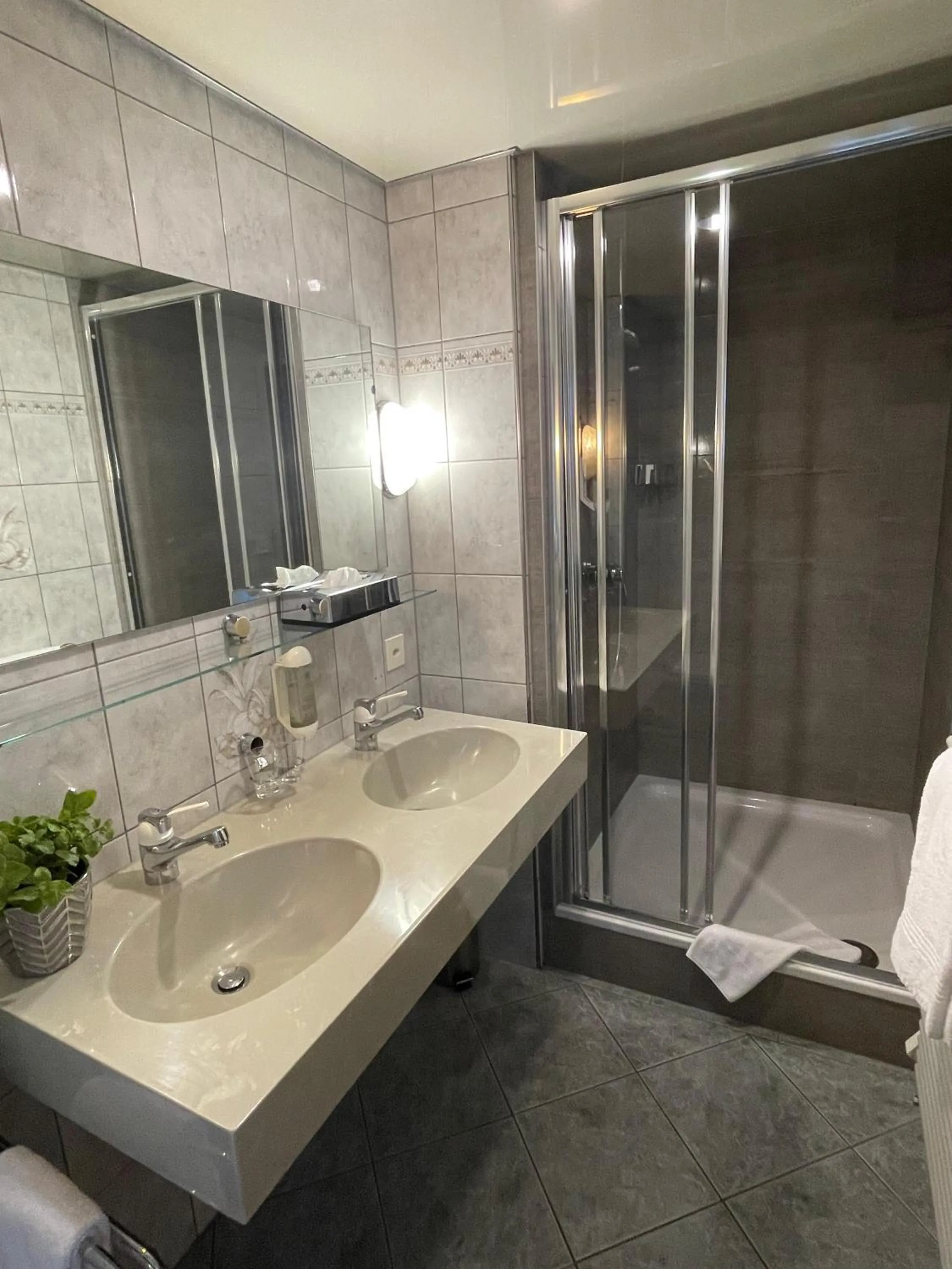 Shower in Hotel Europe Brig