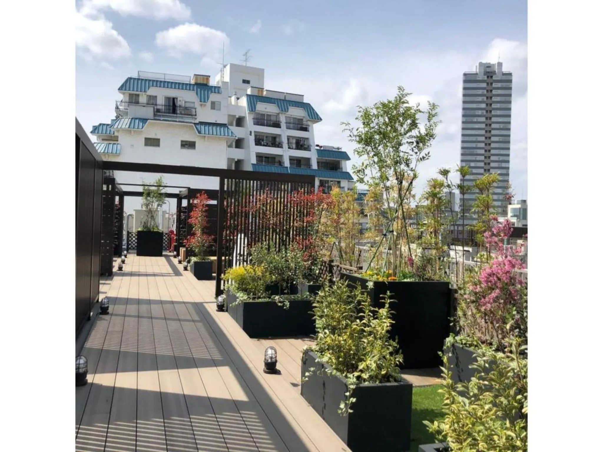 Act Hotel Roppongi - Vacation STAY 85369