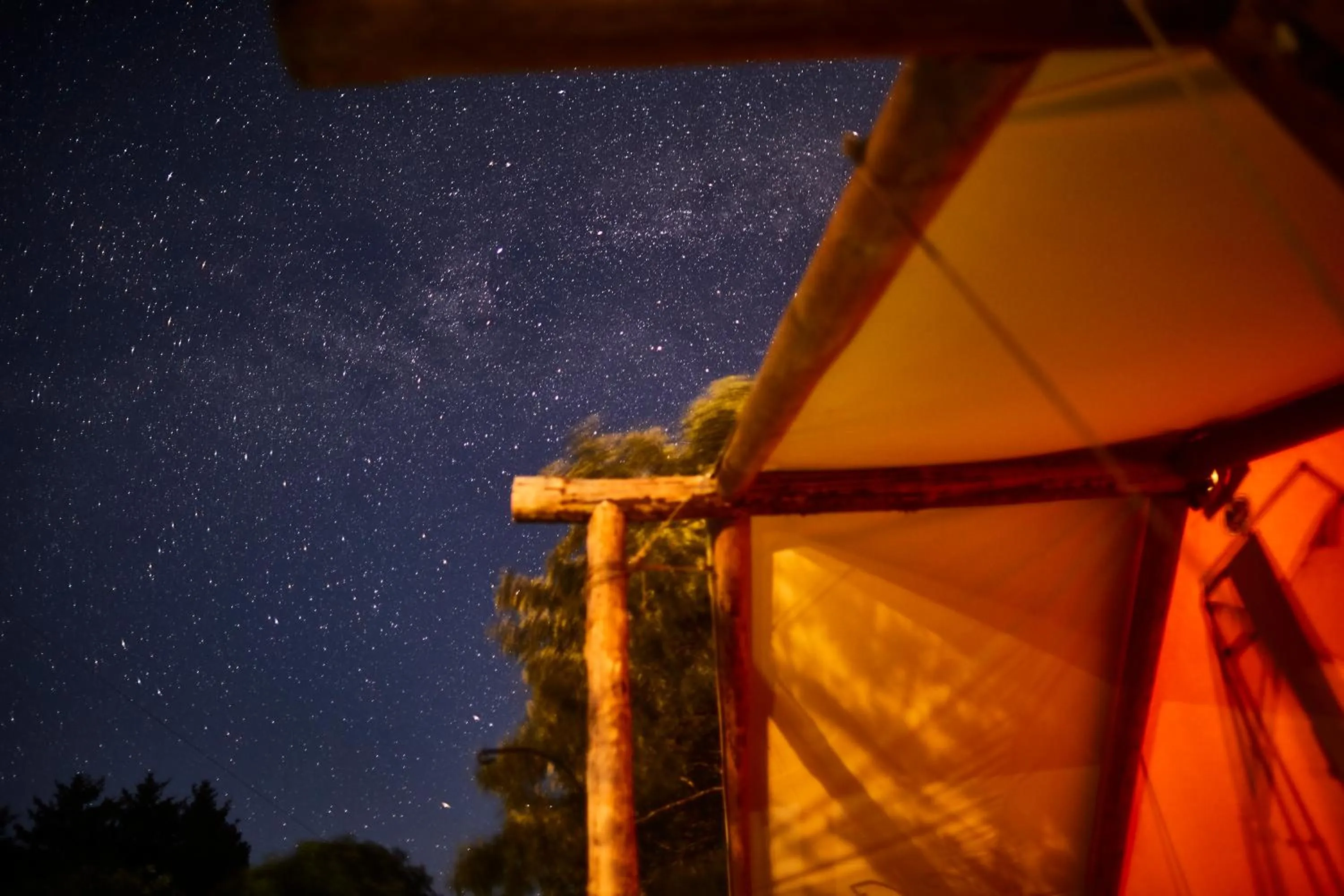 View (from property/room) in Pacific Dunes Resort