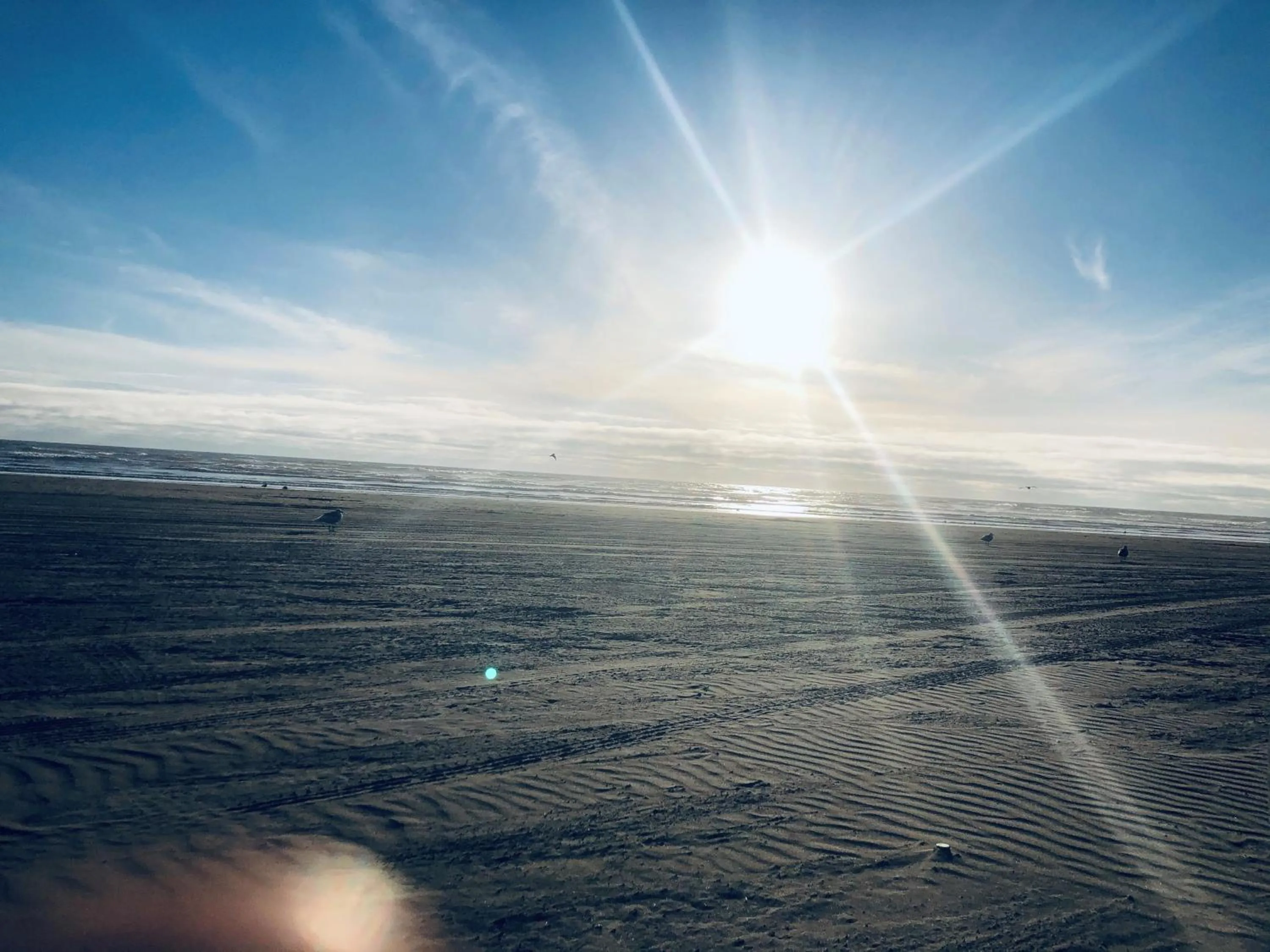 Beach in Pacific Dunes Resort