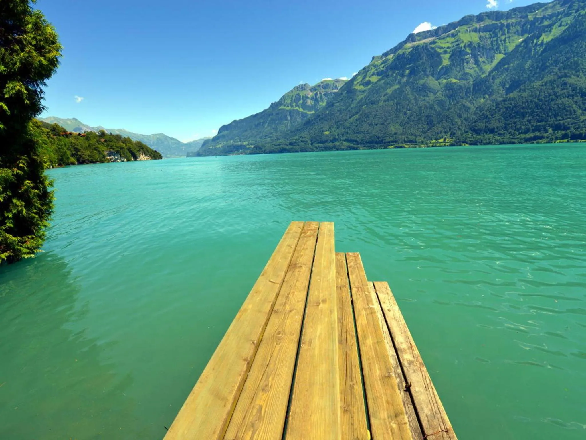 Garden in Hotel Seeburg - Adults only