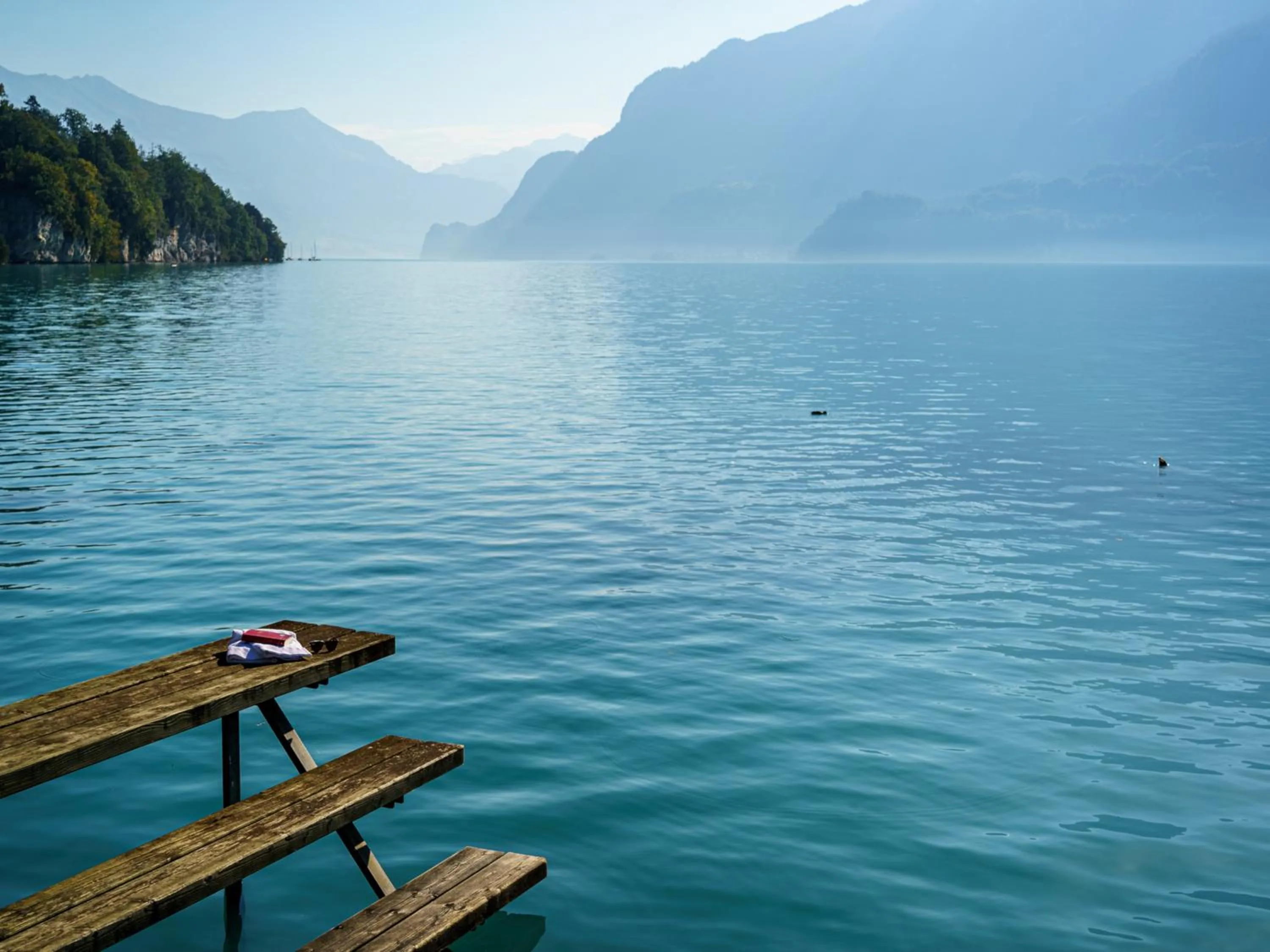 Natural landscape in Hotel Seeburg - Adults only