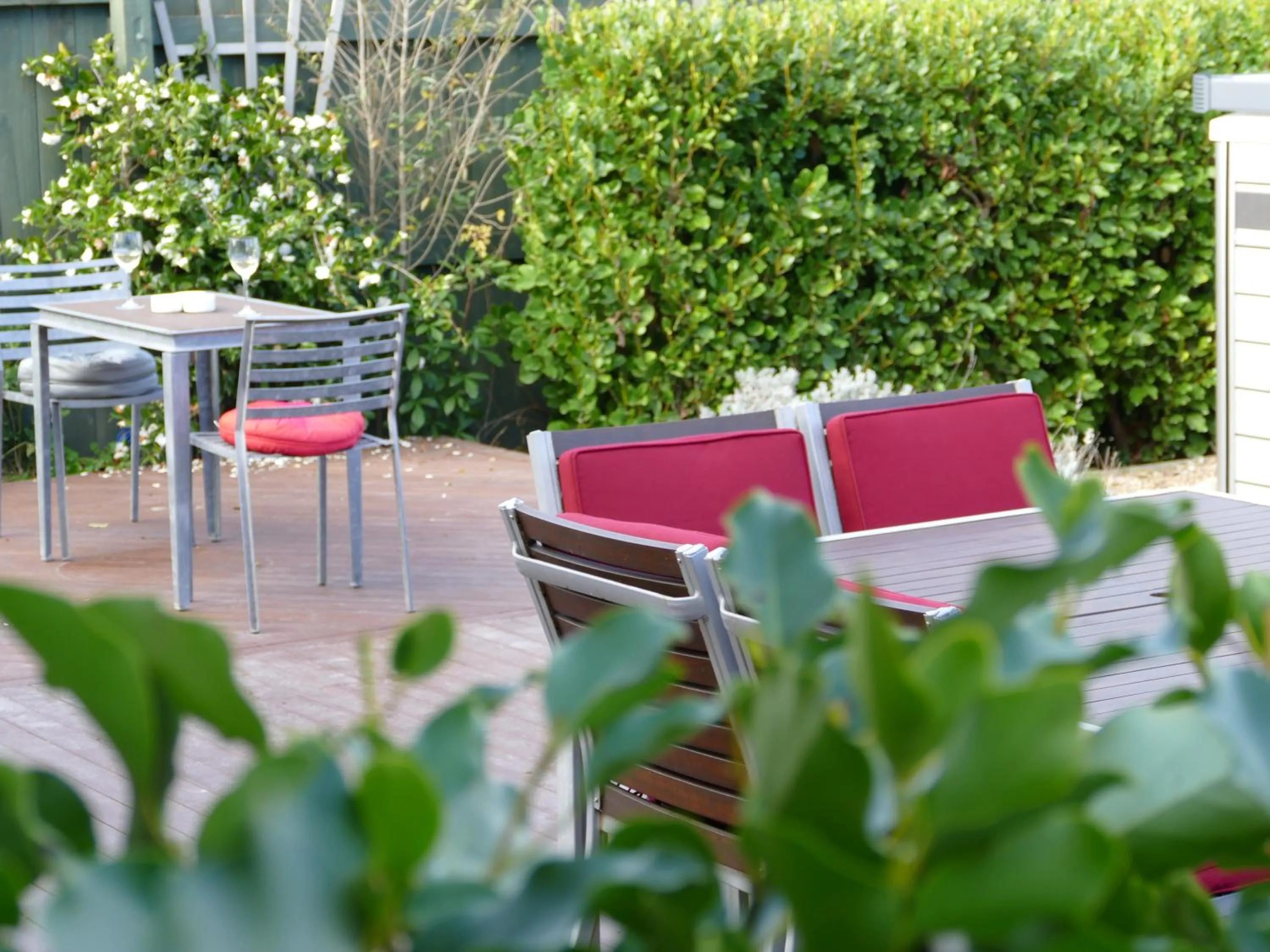 Patio in number41 Bed + Breakfast