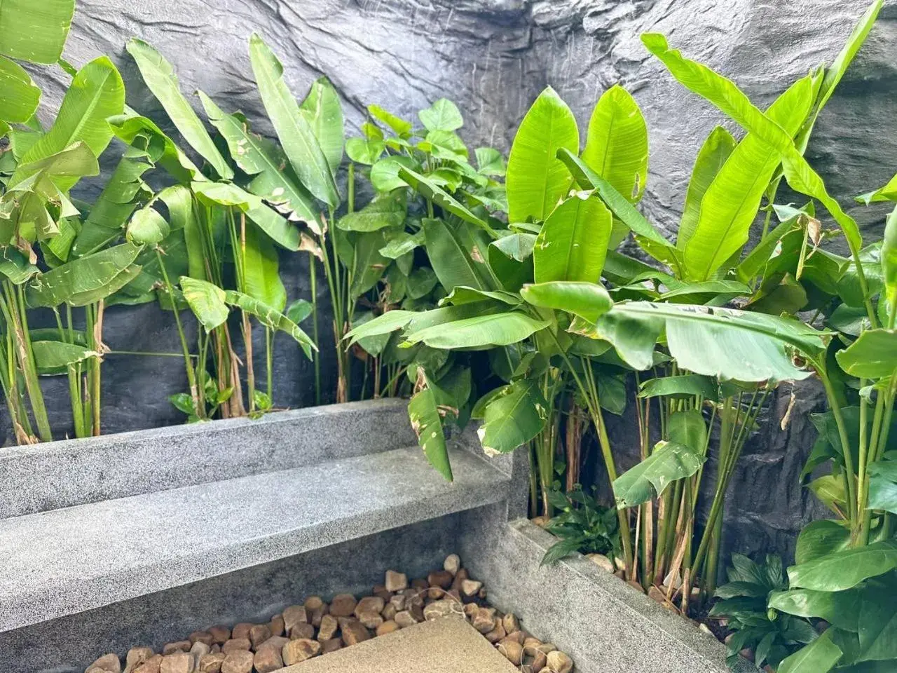 Garden view in Raing Phnom Bungalow Garden view in Raing Phnom Bungalow