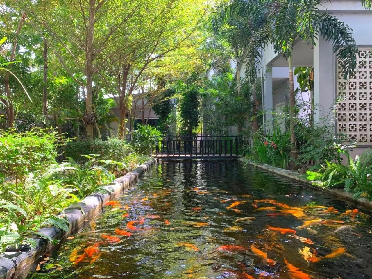 Natural landscape in Raing Phnom Bungalow