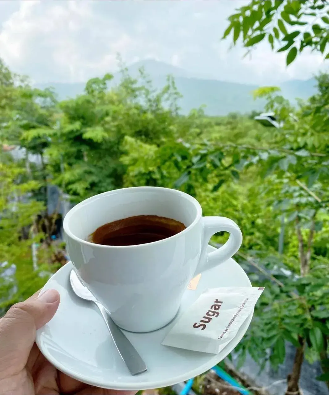 Restaurant/places to eat in Raing Phnom Bungalow Restaurant/places to eat in Raing Phnom Bungalow