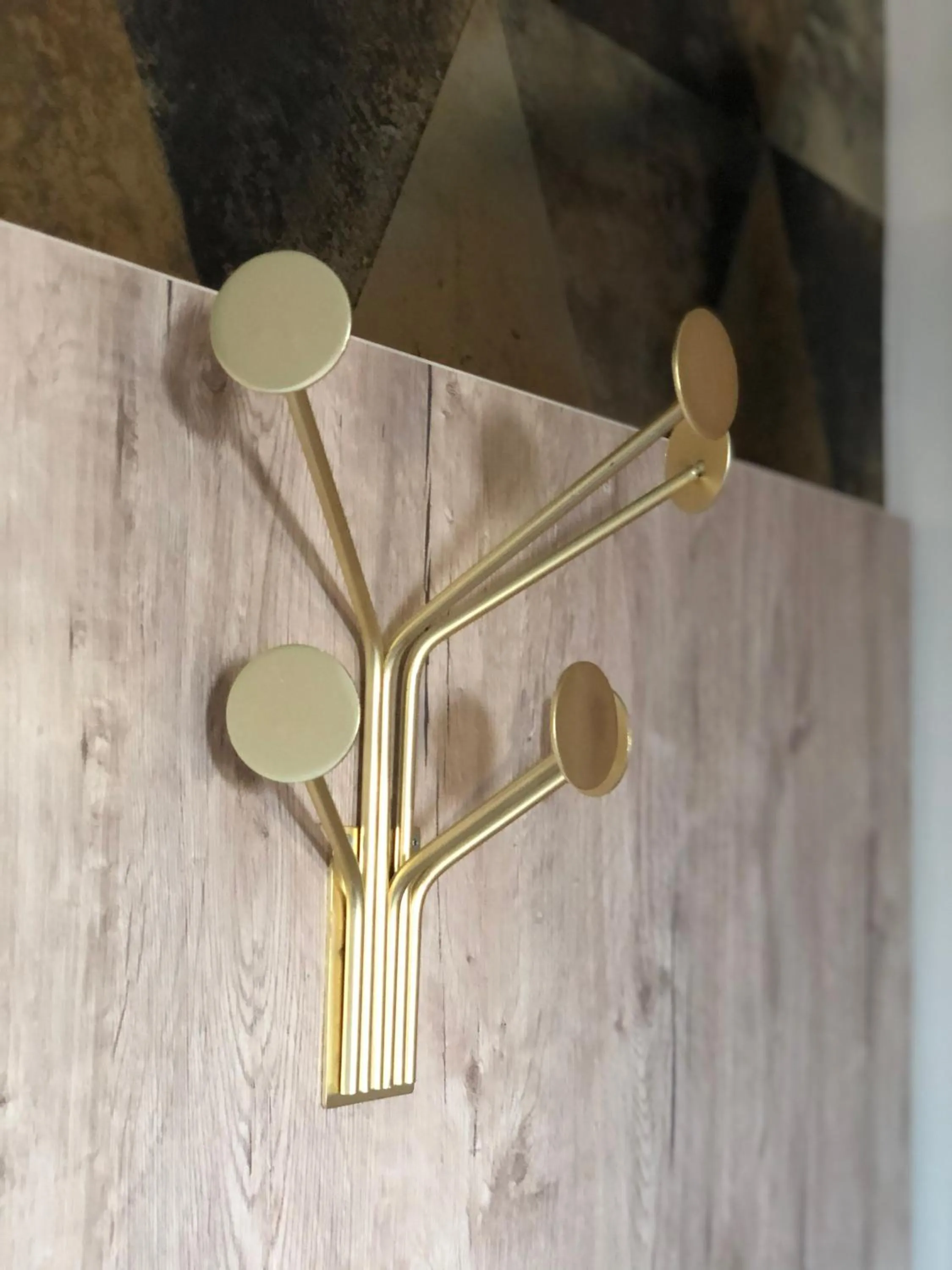 Area and facilities in Székely Fogadó Self Check In Hotel Guesthouse